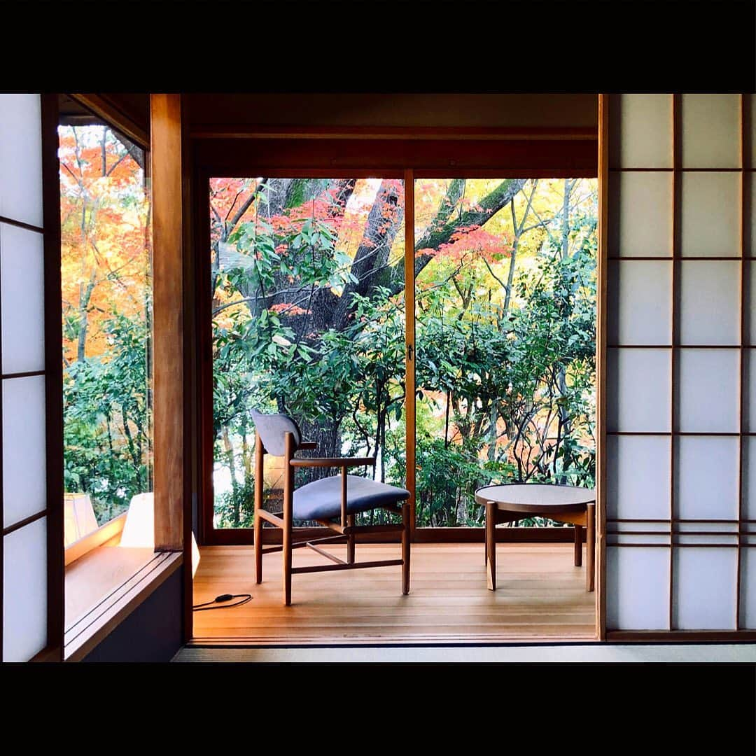 THE WESTIN KYOTO ウェスティン都ホテル京都さんのインスタグラム写真 - (THE WESTIN KYOTO ウェスティン都ホテル京都Instagram)「佳水園の秋 12室のお部屋がありますが、すべて異なります。お部屋からの秋の景色の見え方も様々。  Tag #westinmiyakokyoto to share your images with us !  #インクライン #fushimiinari　#heianshrine #konkaikomyoji　#kiyomizudera #nanzenji　#南禅寺　#Nishikimarket #寺巡り #kyototravel #kyotogram #visitkyoto #kyotolover #京都好きな人と繋がりたい #京都好き #京都散策 #amazingkyoto #京都観光  #westinmiyakokyoto #ウェスティン都ホテル京都  #japantravel #tripgramjp_Kyoto #japan_of_insta #icu_japan #都ホテル #miyakohotels #都酒店和度假村 #kasuien  #佳水園」12月9日 19時03分 - westinmiyakokyoto