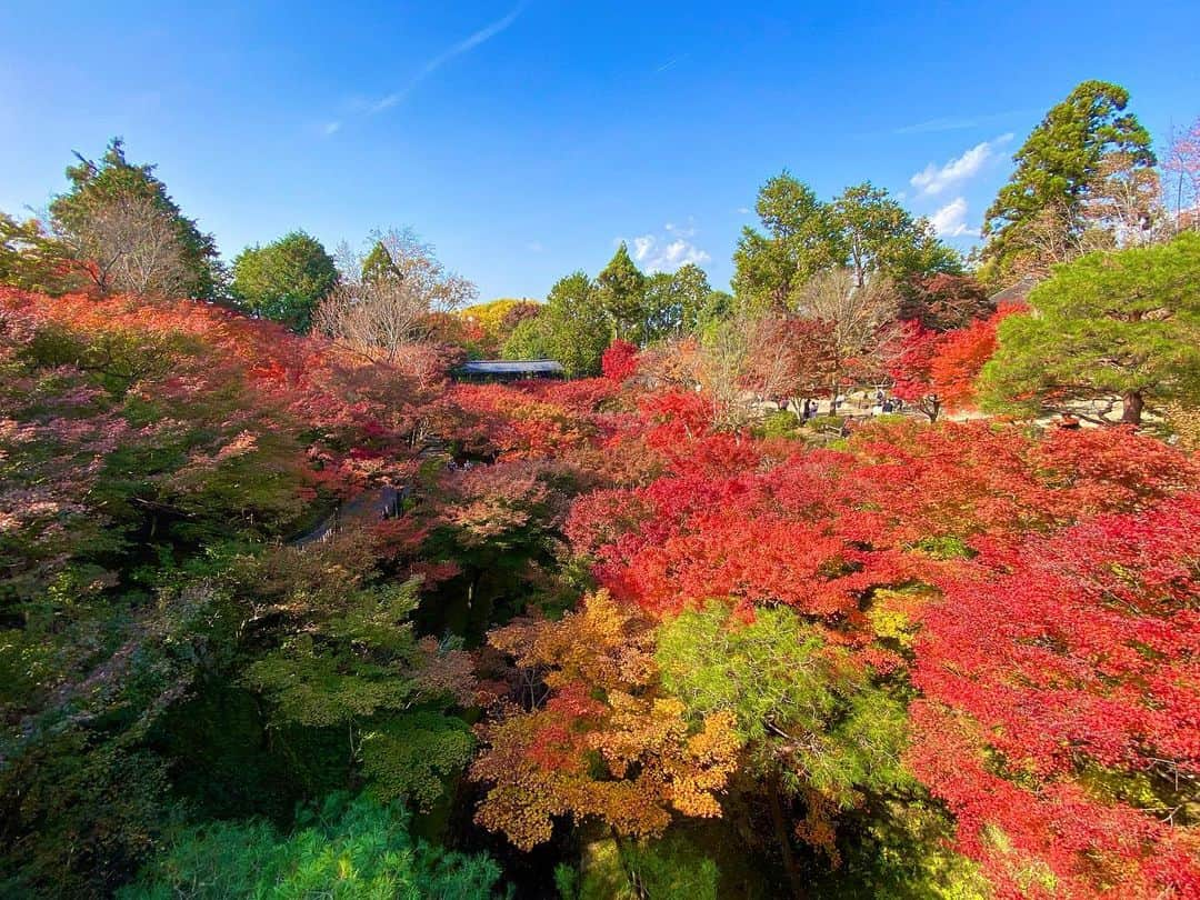 MIKAさんのインスタグラム写真 - (MIKAInstagram)「Fallin for you🍂♥️ 虹も探してみてね でもみか山紀信自信作の２枚目も見て欲しい…ナ」12月9日 18時56分 - cjd_mika