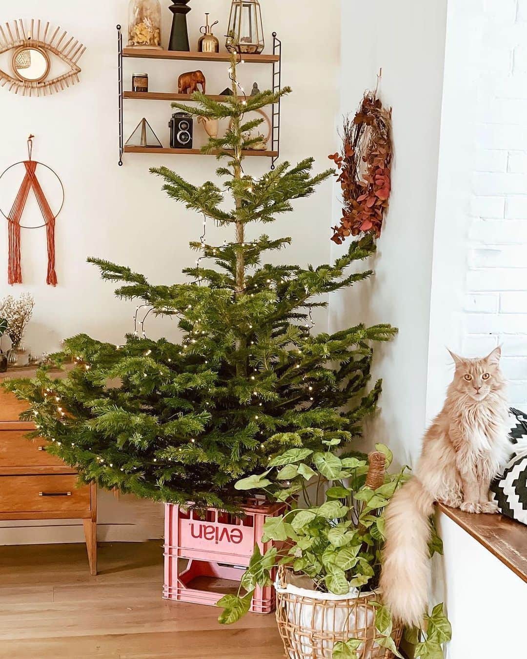 evianのインスタグラム：「Feeling the holiday vibes 🎄@encoursdecreationleblog set the Christmas tree bar high this year! We love to see what you do with our #eviancrates ✨  #evian #evianwater #stayhydrated #positivedrops」