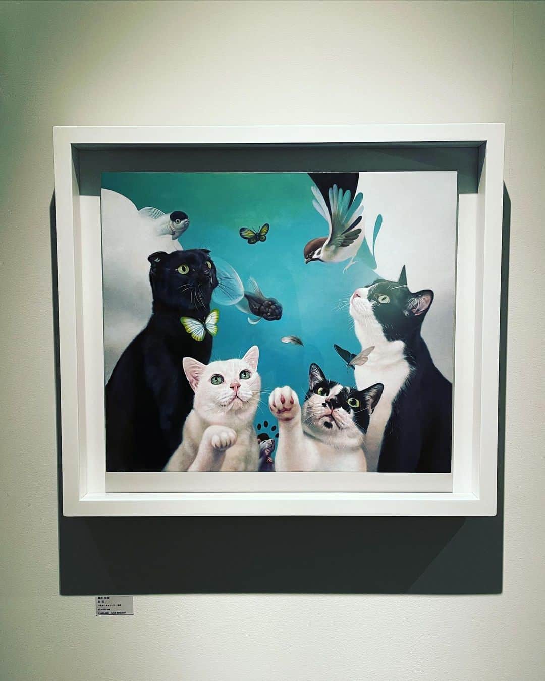 松野井雅（原紗央莉）さんのインスタグラム写真 - (松野井雅（原紗央莉）Instagram)「『―CISTRON― 写実の遺伝子』 2020年12/5(土)〜19(土) #ギャラリー須知 @gallerysuchi グループ展に行ってきました❤️  お友だちの画家・藤原由葵 @yukifujiwara_gaka さんの油絵が1点出品されています！  我が家の猫4匹を、 由葵さんの絵のモデルとして描いていただきました！！！！ (Miro、Chrono、Teiji、Mori)  愛しの4匹たちが 由葵さんの作り出す世界の中で キラキラ輝いていて のびのびと自由で とても楽しそうで 嬉しい！  感動しました✨✨  #art #painting #oilpainting #exhibition #gallery #galerie﻿ #kayabacho #tokyo #japan﻿ #四匹 #meow #ilovemycat #cat #猫 #catlover #ねこ #ネコ #にゃんこ #cats #猫好き #猫大好き #ねこら部 #neko #yukifujiwara #藤原由葵」12月9日 19時15分 - miyavimatsunoi