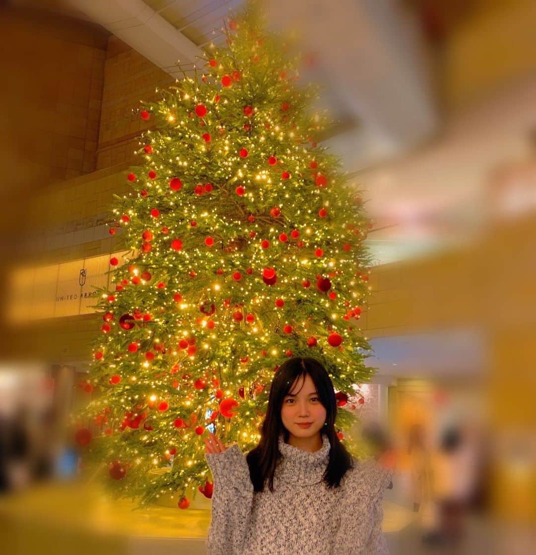 加弥乃さんのインスタグラム写真 - (加弥乃Instagram)「綺麗🥺✨ #christmastree #tokyo 🎄」12月9日 19時41分 - kayano210