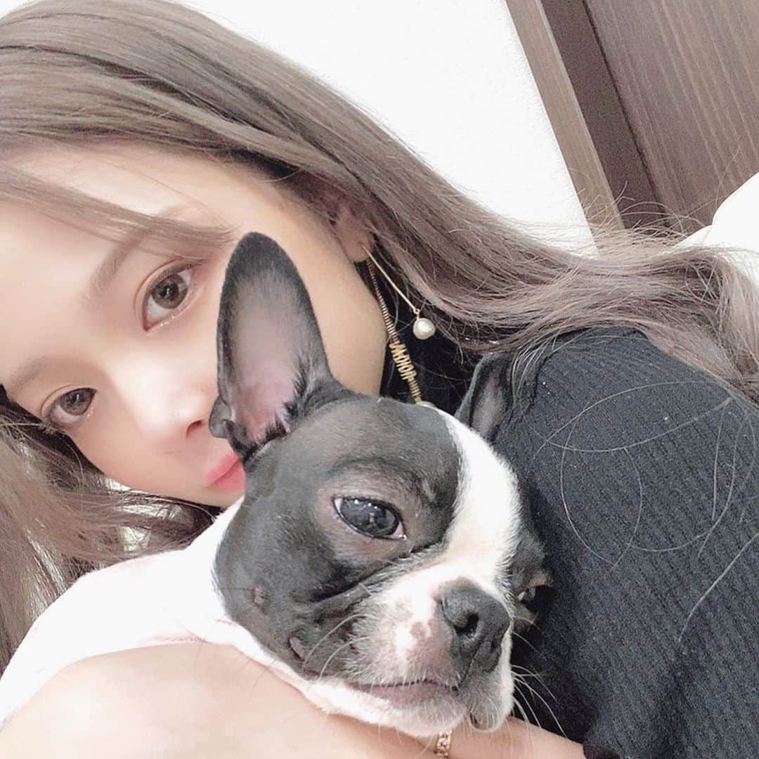 仲本莉絵瑠のインスタグラム：「大事な大事な家族🥰 #昨日質問箱できなかったからお風呂入る時心を込めてコメント致します ＃あえての塩対応もよい #伊達ビヨンセのいる生活」