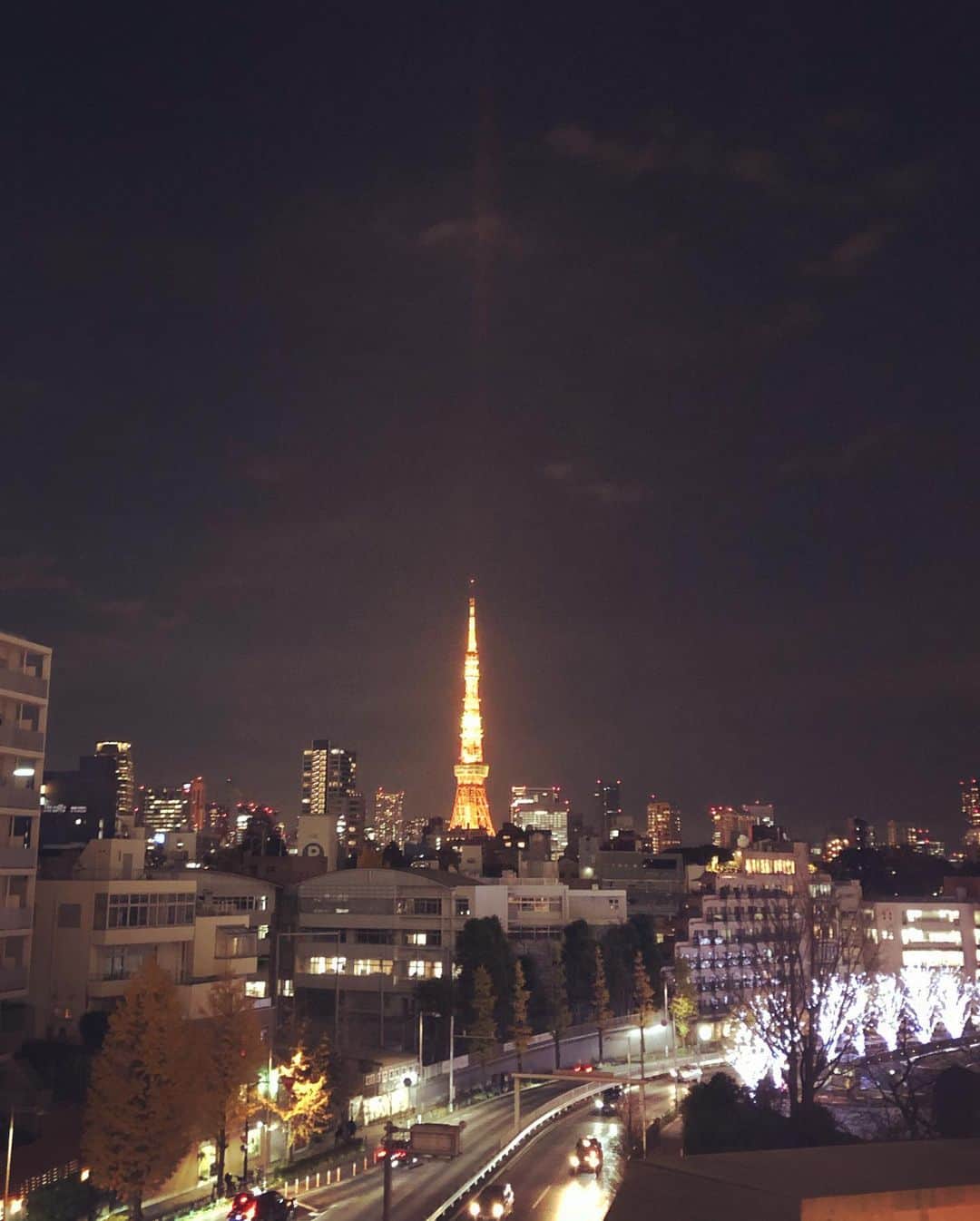 風子さんのインスタグラム写真 - (風子Instagram)「#六本木ミッドタウン #六本木ヒルズ #イルミネーション #tokyo#roppongi  #チワワ#ふぃりさんぽ 今年もフィリと来れて良かった。」12月9日 19時54分 - pchan030