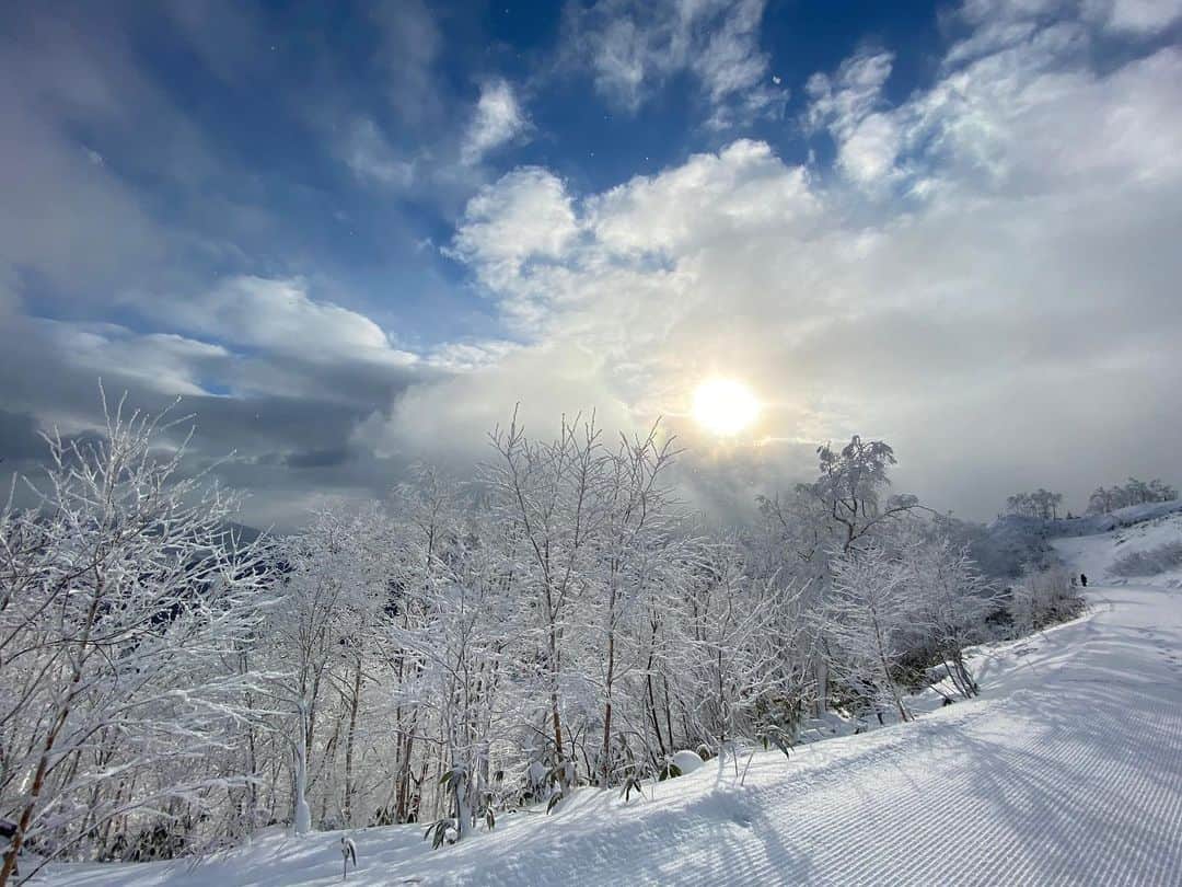 星野リゾート　トマムのインスタグラム：「Today’s Hoshino Resorts TOMAMU  ‪今日の霧氷テラス。時折雲間から太陽の光が霧氷を照らし、神秘的な景色が広がっていました❄️‬  #HoshinoResorts #星野リゾート #tomamu #hoshinoresortstomamu #星野リゾートトマム #トマム #risonaretomamu #リゾナーレトマム #risonare #リゾナーレ #北海道旅行 #星野集團 #Hokkaidotrip #霧氷テラス#terraceoffrosttree #霧氷」