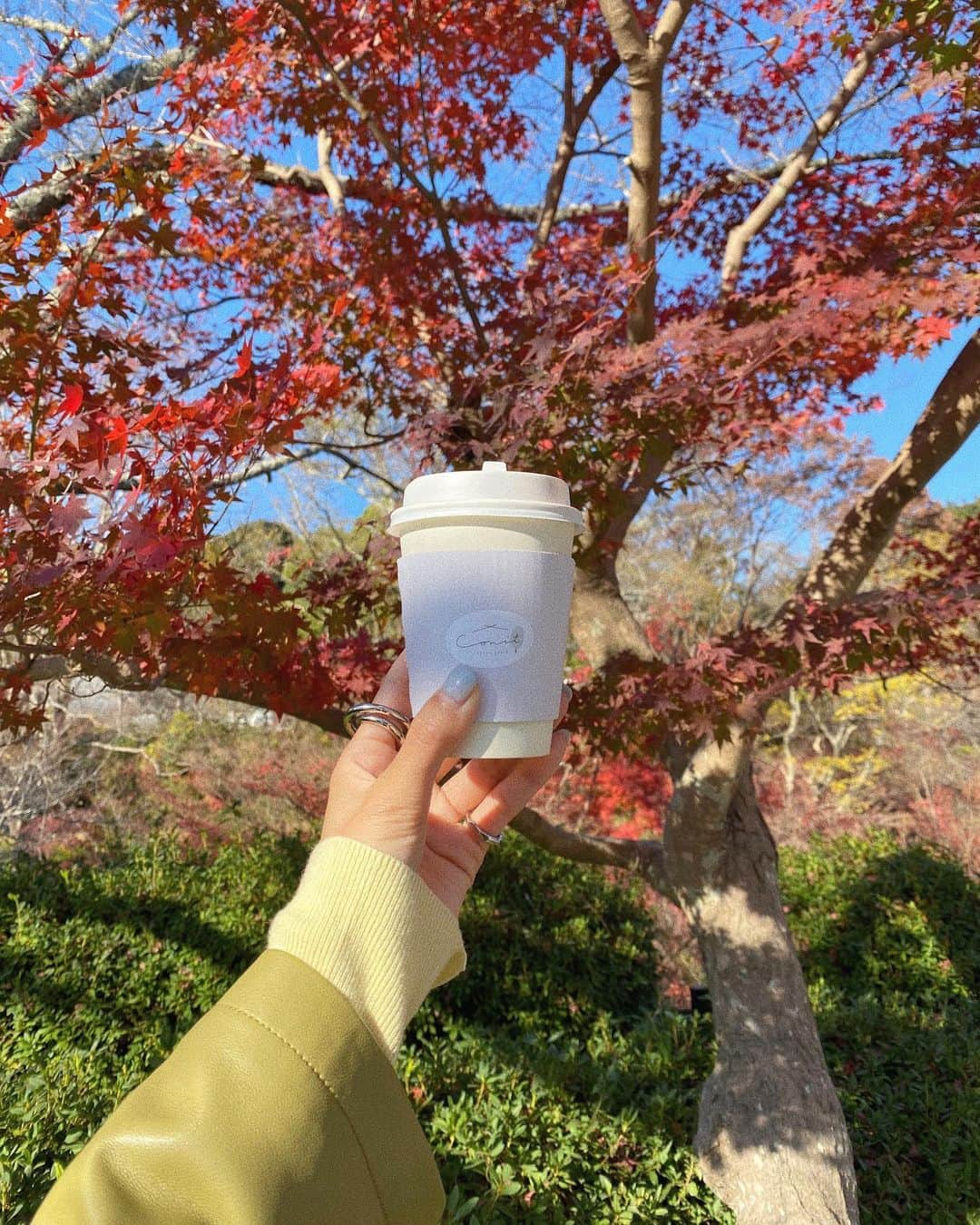 のインスタグラム：「🍁 w a k a y a m a 🍁 ちょっと前にお仕事で地元に帰った時に きれいで可愛い色の紅葉を見れたぁ〜🥺🧡  ずっと行ってみたかったカフェにも 最後に行けてうれしかったぁ〜🥺🧡  そんな私的に最高なコラボレーション🤝🌈  #和歌山カフェ #紅葉 #和歌山宣伝隊」