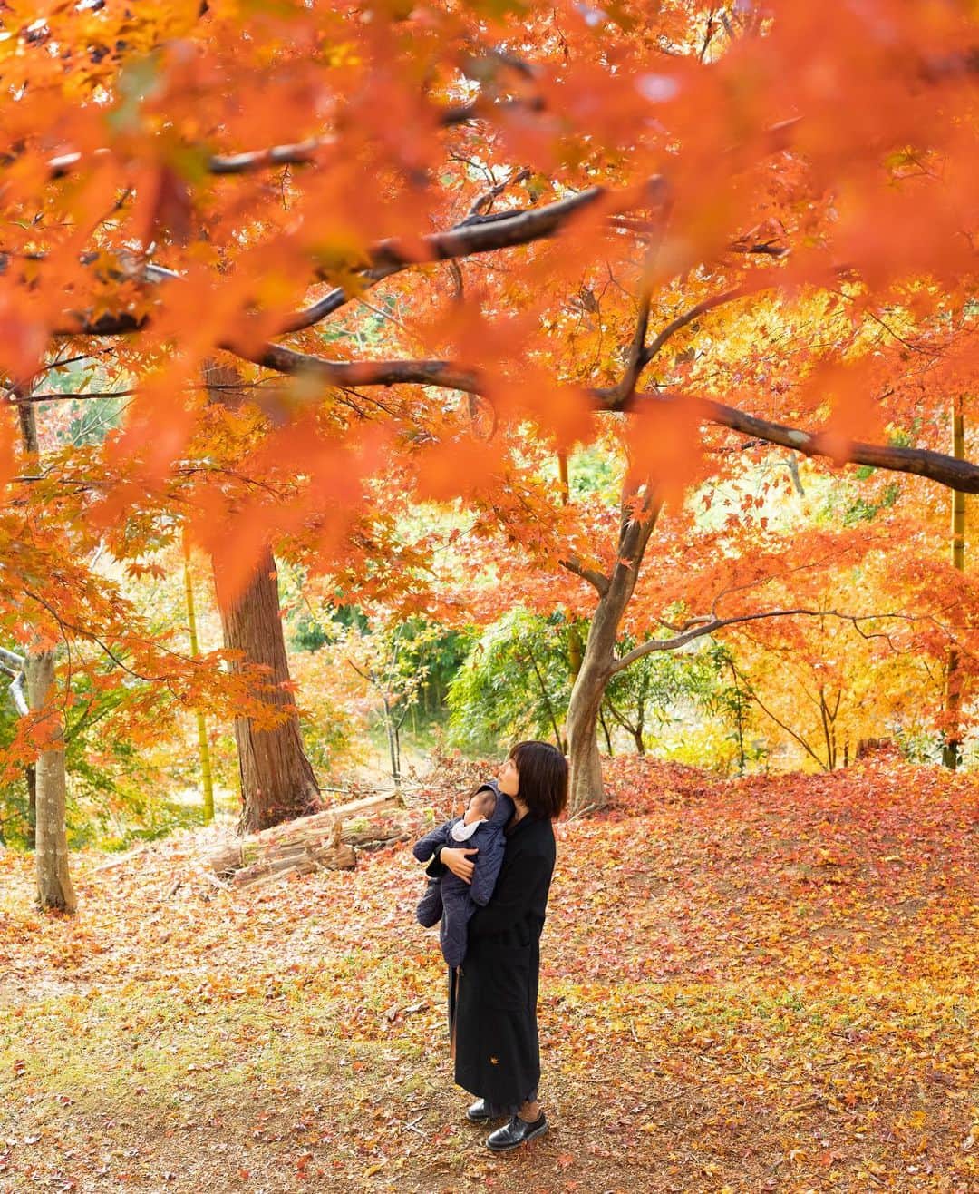 sorayuchiのインスタグラム：「・ GFX50Rにオールドレンズ付けたカメラに買い替えたのですが、どこにも撮影行けてないので家で息子しか撮ってない😂」