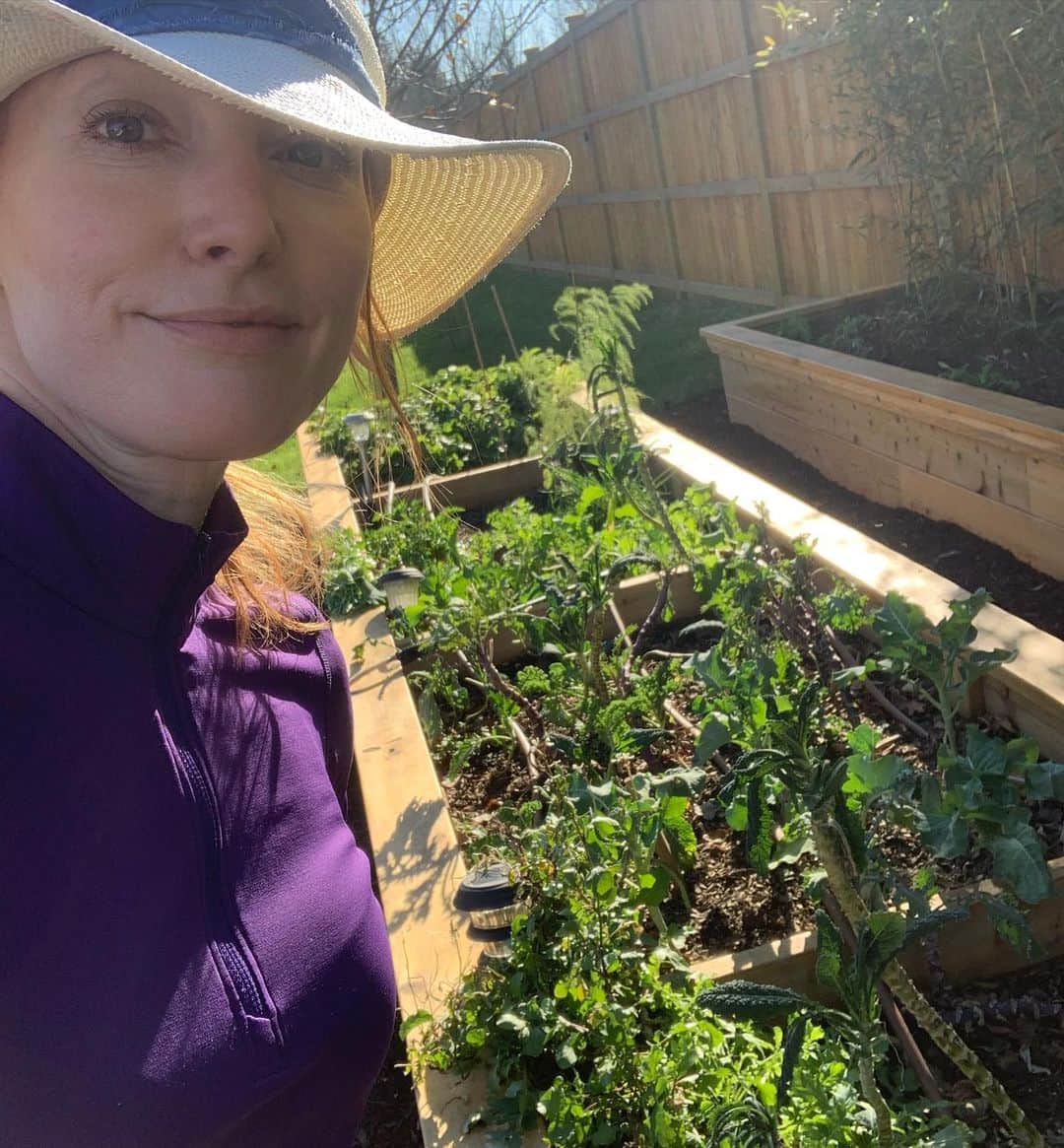 アリシア・ウィットさんのインスタグラム写真 - (アリシア・ウィットInstagram)「so happy to be harvesting and cooking some more of my garden’s abundance on this GLORIOUS nashville day!! kale, collards, broccoli, arugula, cilantro and parsley still going strong 💪🏻 🥬 #organicgardening #homegrownveggies #decemberinnashville」12月10日 6時31分 - aliciawitty