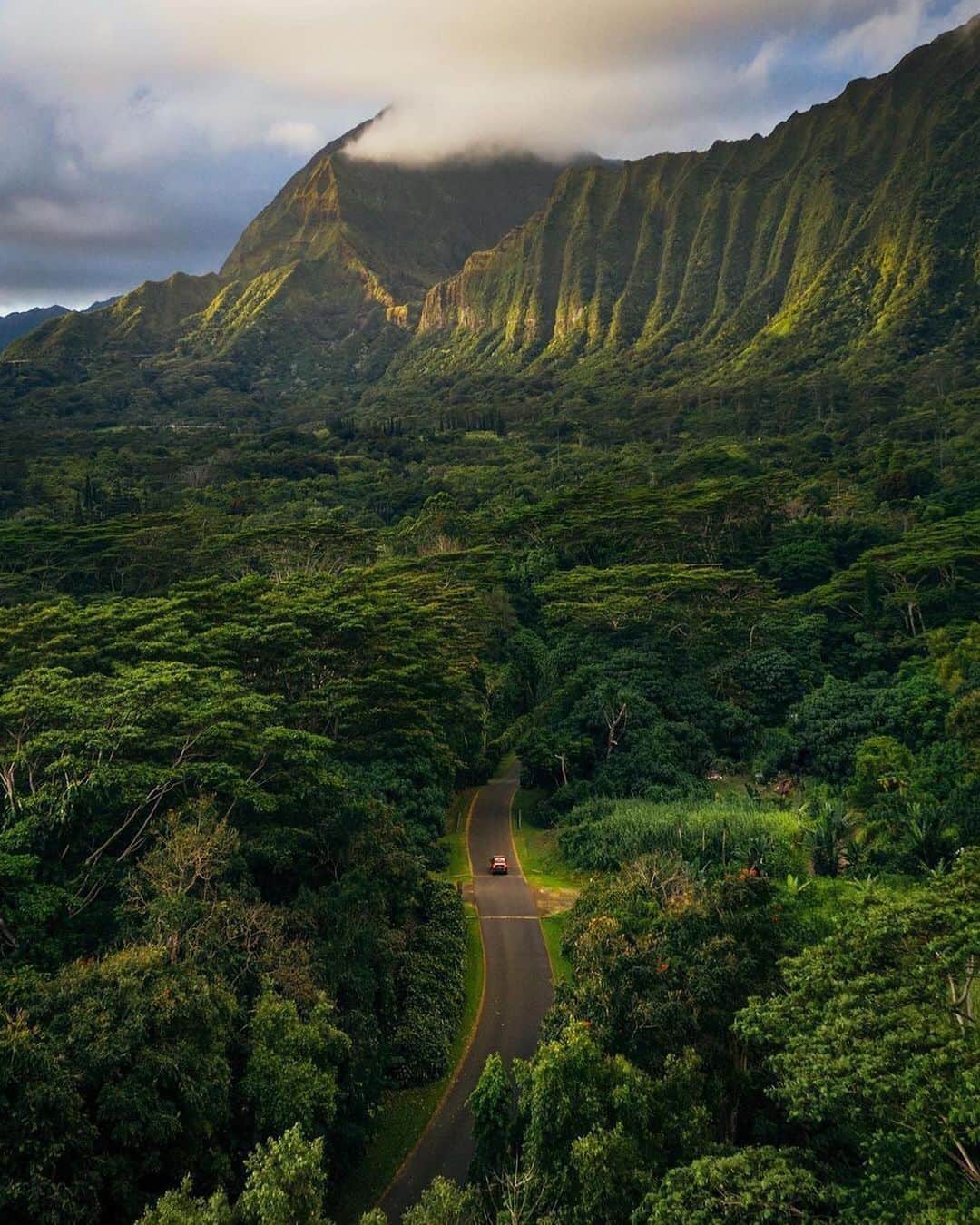 Canon Photographyさんのインスタグラム写真 - (Canon PhotographyInstagram)「Stunning Hawaii 🌺 Photography // @vincelimphoto Curated by @steffeneisenacher  #hawaii #aloha #oahu #jurassicpark #junglevibes」12月10日 6時44分 - cpcollectives