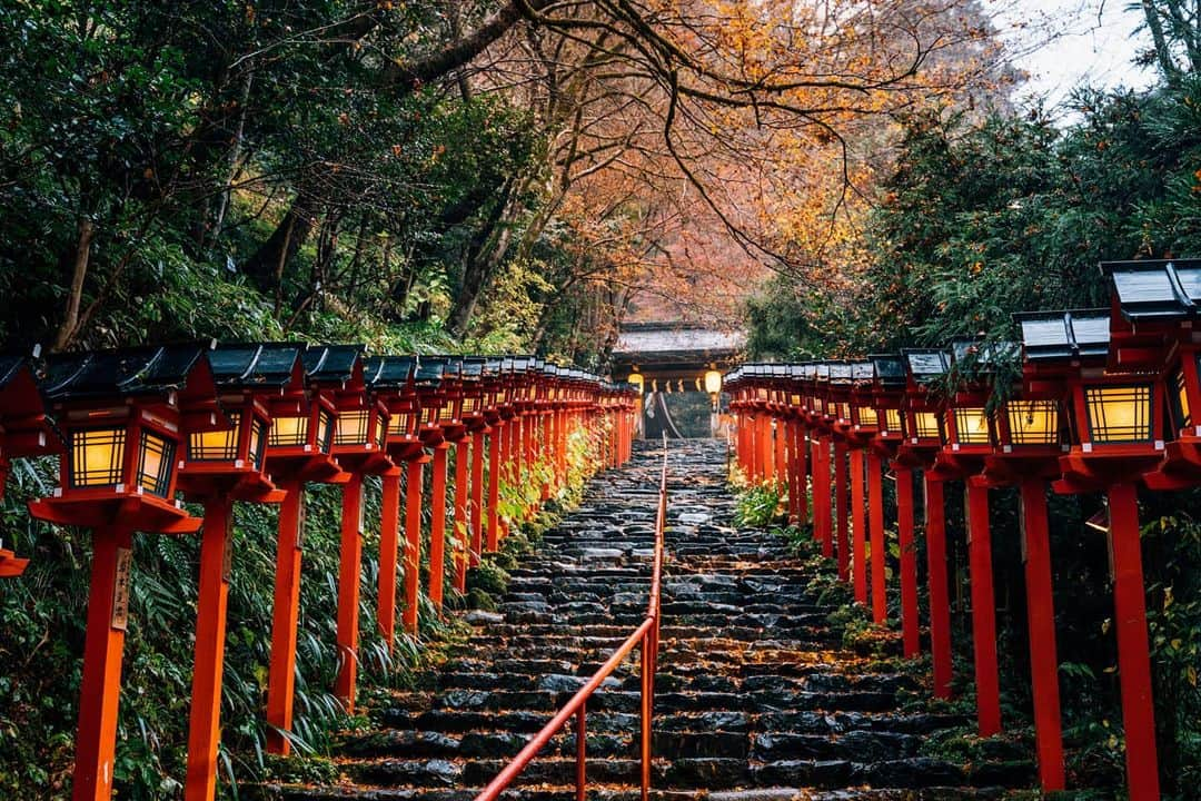 京都いいとこフォトのインスタグラム：「. 貴船神社、雨の朝。　 春日燈籠が灯る参道に、 はらはらと散る紅葉も綺麗でした。 . Kifune Shrine, rainy morning.　 The autumn leaves that slowly fall on the approach where kasuga lanterns are lit were also beautiful. .  . . Date : 2020.11.20 Location : #貴船神社 #Kifuneshrine Photo : @hino0117 .」