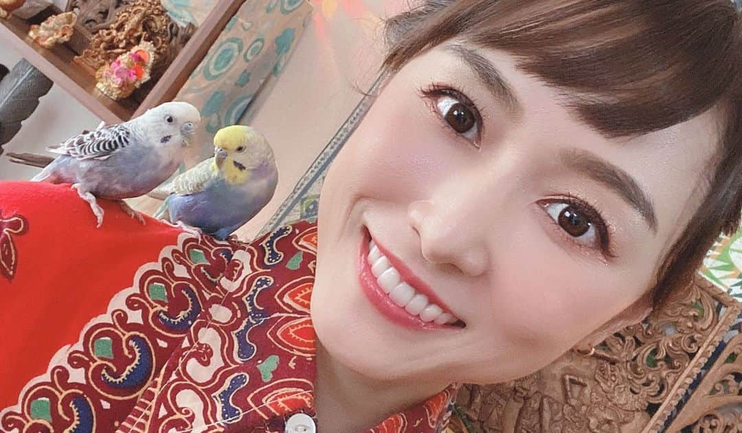 杏さゆりさんのインスタグラム写真 - (杏さゆりInstagram)「『相棒』の放送を、見てくれた方々本当にありがとうございました🥺💕✨ . 死ぬ役をした役者は長生きをすると言うので、杏は長生き出来そうです😂😂😂 . またドラマに出演したーーーい🙏❤️✨ . 見てくれた人には分かるインコ女🦜www でしたwww . #相棒　#相棒19 #テレビ朝日 #杏さゆり　#SayuriAnzu」12月9日 22時10分 - anzu_sayuri_official