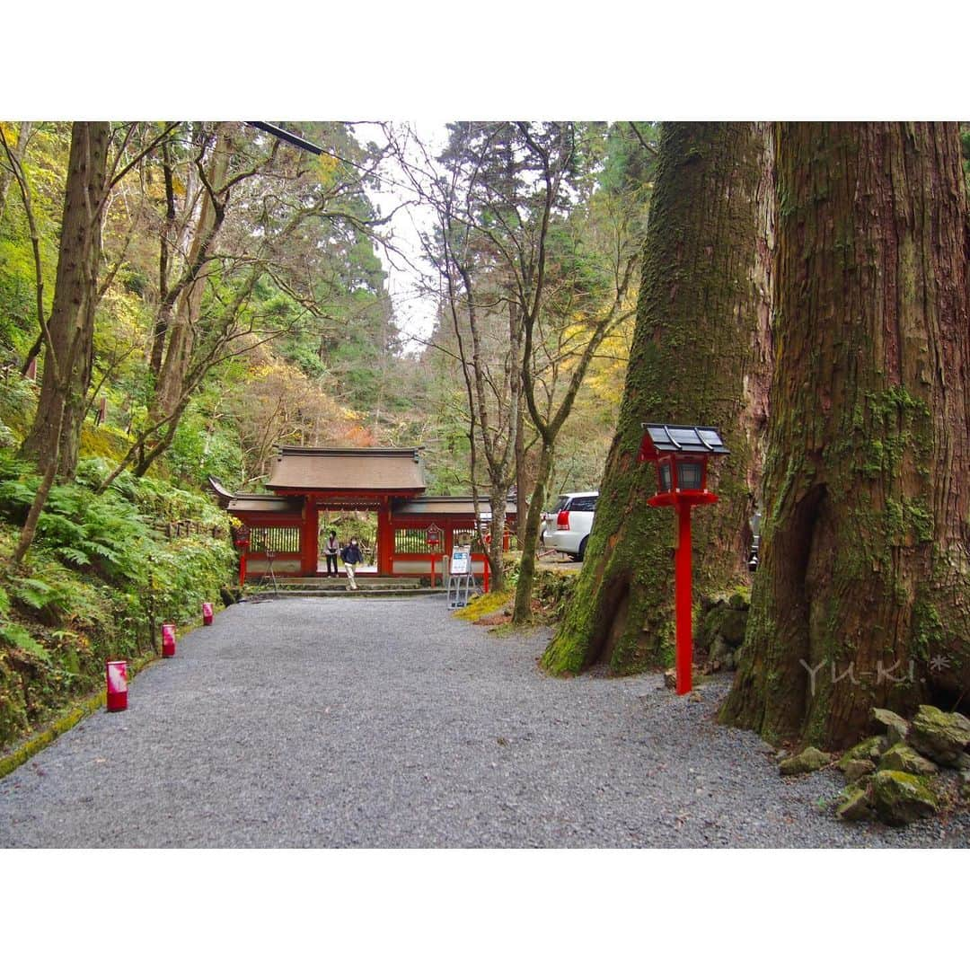 二見夕貴さんのインスタグラム写真 - (二見夕貴Instagram)「. 秋ひとり旅 2020 Kyoto🍁Day 2 . △ 貴船神社⛩奥宮 / 本宮 . . ちょっと足を伸ばして 縁結び / 縁切りの神様がいるという貴船神社まで☺︎ 水の神様を祀っているようで 川の流れを聴きながら本宮、奥宮まで 自然のパワーを浴びにいきました . * . 山の中だからまだ紅葉観れるかと思いきや 逆にほぼ散っていました😂💔 ただ、立派な樹々や苔に 本宮・奥宮それぞれの神々しい御神木を 体感できた素敵な場所でした🌿. * . 身体の中も、生活環境も、 悪い縁が切れて 良い縁が舞い込みますように🕊 . . また春の新緑を堪能しに行きたい☺️ . 1 - 4：奥宮⛩ 5 - 10：本宮⛩ . #redleaves #japanautumn #kyototrip #travelinjapan #cameragirl #tripgirl #kifuneshrine #moss #natureenergy #sunlight #olympuspen #紅葉狩り #秋旅 #カメラ女子 #京都旅 #ひとり旅女子 #貴船神社 #貴船神社奥宮 #苔 #御神木 #マイナスイオン #木漏れ日 #水占いみくじ #ファインダー越しの私の世界 #写真好きな人と繋がりたい」12月9日 22時38分 - yyyuki___