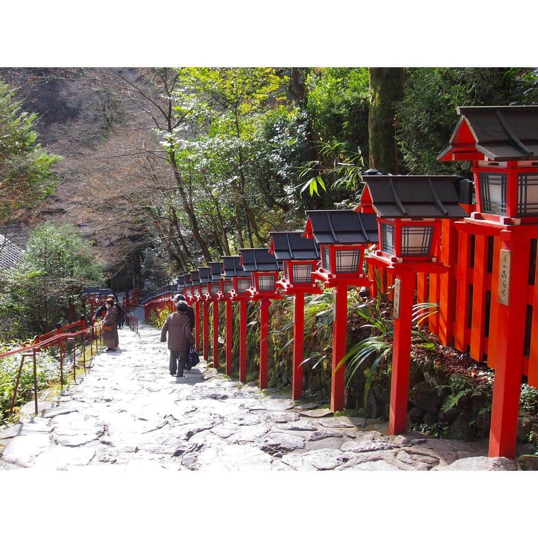 二見夕貴さんのインスタグラム写真 - (二見夕貴Instagram)「. 秋ひとり旅 2020 Kyoto🍁Day 2 . △ 貴船神社⛩奥宮 / 本宮 . . ちょっと足を伸ばして 縁結び / 縁切りの神様がいるという貴船神社まで☺︎ 水の神様を祀っているようで 川の流れを聴きながら本宮、奥宮まで 自然のパワーを浴びにいきました . * . 山の中だからまだ紅葉観れるかと思いきや 逆にほぼ散っていました😂💔 ただ、立派な樹々や苔に 本宮・奥宮それぞれの神々しい御神木を 体感できた素敵な場所でした🌿. * . 身体の中も、生活環境も、 悪い縁が切れて 良い縁が舞い込みますように🕊 . . また春の新緑を堪能しに行きたい☺️ . 1 - 4：奥宮⛩ 5 - 10：本宮⛩ . #redleaves #japanautumn #kyototrip #travelinjapan #cameragirl #tripgirl #kifuneshrine #moss #natureenergy #sunlight #olympuspen #紅葉狩り #秋旅 #カメラ女子 #京都旅 #ひとり旅女子 #貴船神社 #貴船神社奥宮 #苔 #御神木 #マイナスイオン #木漏れ日 #水占いみくじ #ファインダー越しの私の世界 #写真好きな人と繋がりたい」12月9日 22時38分 - yyyuki___