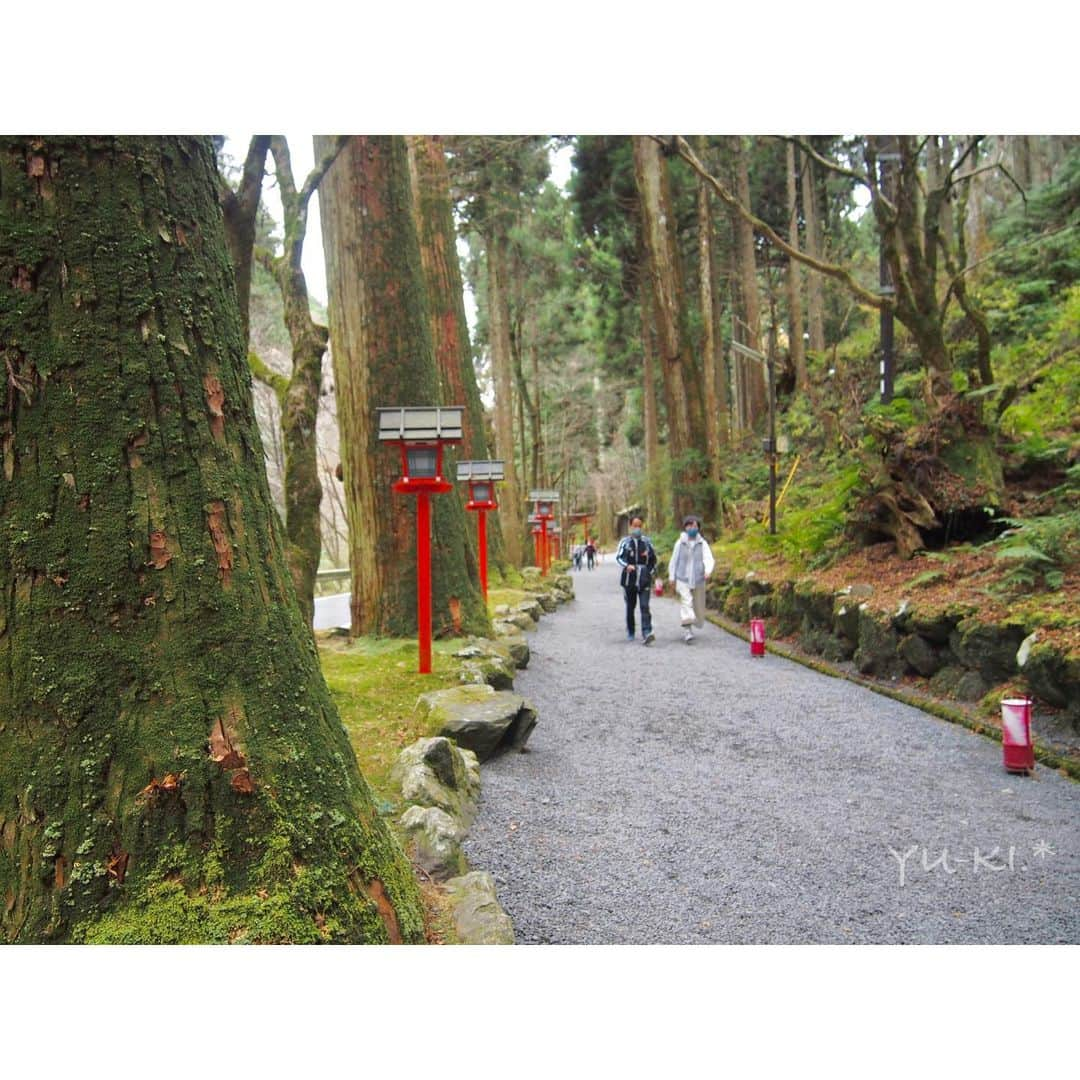 二見夕貴さんのインスタグラム写真 - (二見夕貴Instagram)「. 秋ひとり旅 2020 Kyoto🍁Day 2 . △ 貴船神社⛩奥宮 / 本宮 . . ちょっと足を伸ばして 縁結び / 縁切りの神様がいるという貴船神社まで☺︎ 水の神様を祀っているようで 川の流れを聴きながら本宮、奥宮まで 自然のパワーを浴びにいきました . * . 山の中だからまだ紅葉観れるかと思いきや 逆にほぼ散っていました😂💔 ただ、立派な樹々や苔に 本宮・奥宮それぞれの神々しい御神木を 体感できた素敵な場所でした🌿. * . 身体の中も、生活環境も、 悪い縁が切れて 良い縁が舞い込みますように🕊 . . また春の新緑を堪能しに行きたい☺️ . 1 - 4：奥宮⛩ 5 - 10：本宮⛩ . #redleaves #japanautumn #kyototrip #travelinjapan #cameragirl #tripgirl #kifuneshrine #moss #natureenergy #sunlight #olympuspen #紅葉狩り #秋旅 #カメラ女子 #京都旅 #ひとり旅女子 #貴船神社 #貴船神社奥宮 #苔 #御神木 #マイナスイオン #木漏れ日 #水占いみくじ #ファインダー越しの私の世界 #写真好きな人と繋がりたい」12月9日 22時38分 - yyyuki___