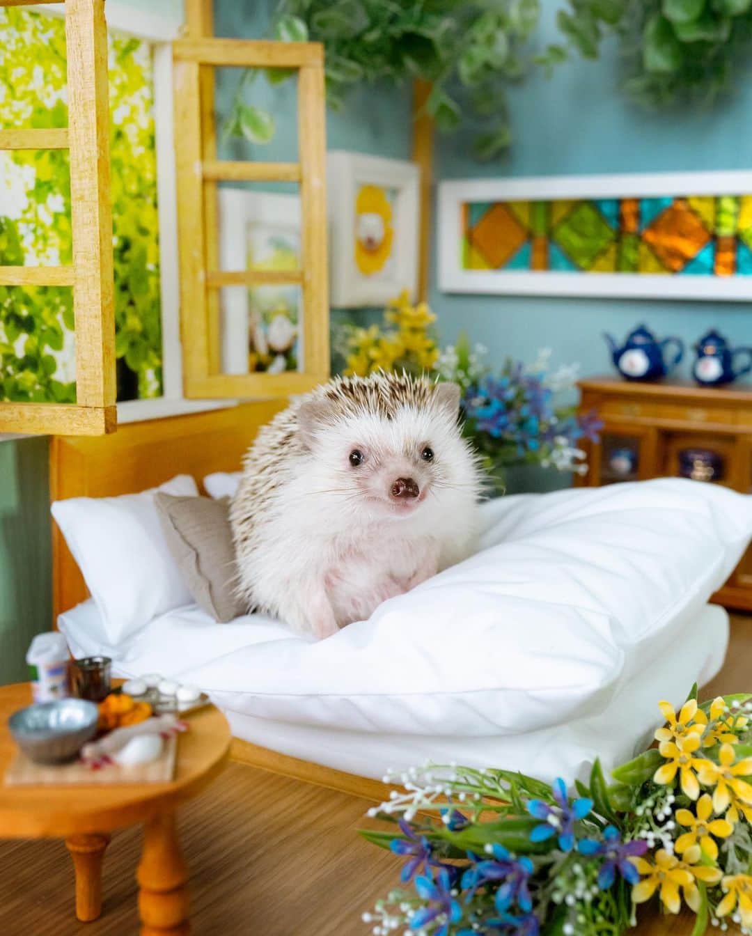 ダーシーのインスタグラム：「Let’s air out the room🪟🍃✨  コアラのお部屋🐨 近日リフォームの予定です👷‍♂️✨」