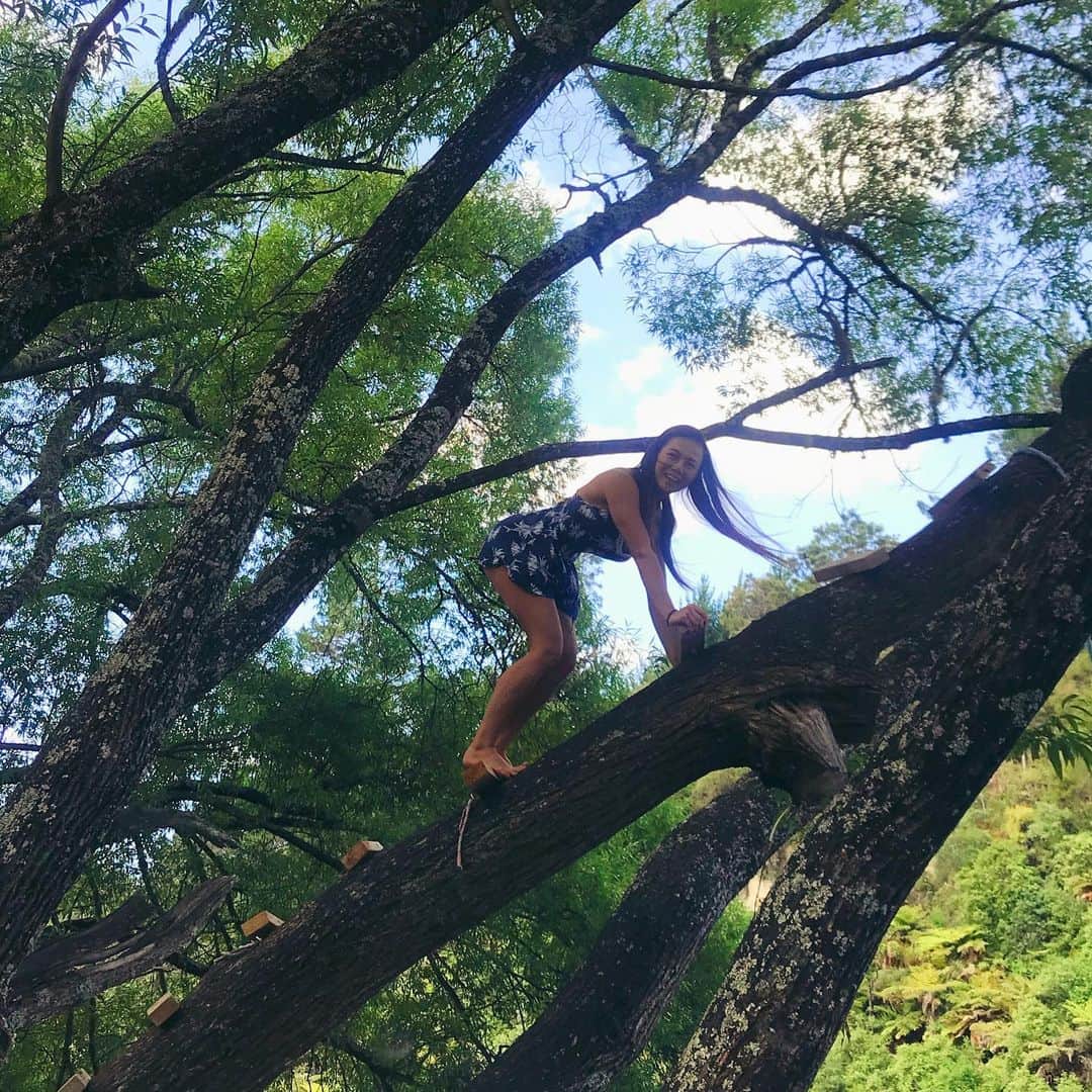 のインスタグラム：「・ 去年の今頃はニュージーランドでロードトリップしてた🇳🇿  登れそうな木があったら片っ端から登って、 飛び込めそうな水があったら飛び込んで、 地球で生きているということを強く意識した素敵な旅だった。  #ニュージーランド #nz #newzealand #holiday #summer #nature #mothernature #earth」