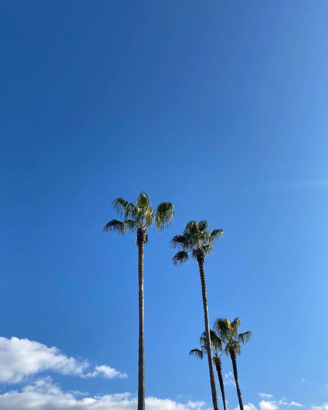 長谷川あやのインスタグラム：「🌴🌴🌴#universalstudiosjapan ・ ・ ・ いつかまたゆっくり、、、😌💭」