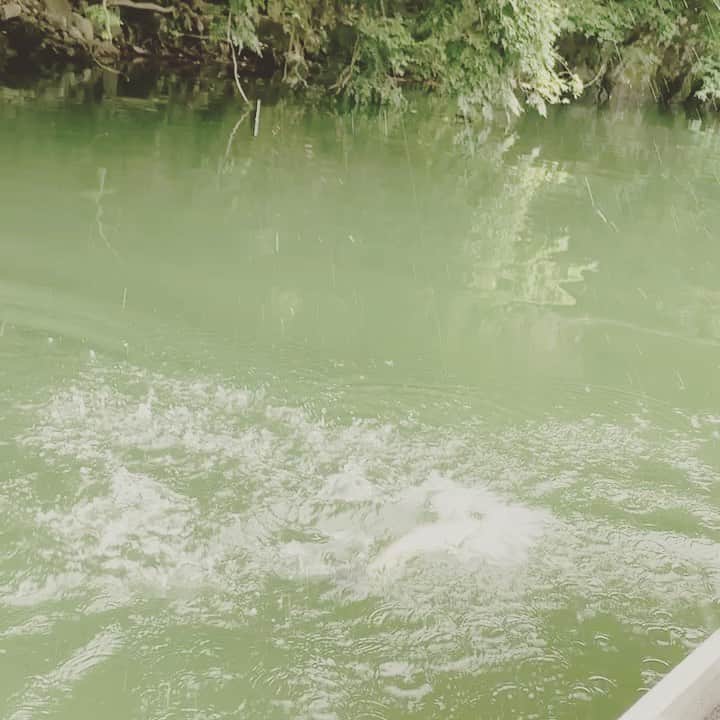 のインスタグラム：「でっかい魚釣り行こかー🐟」