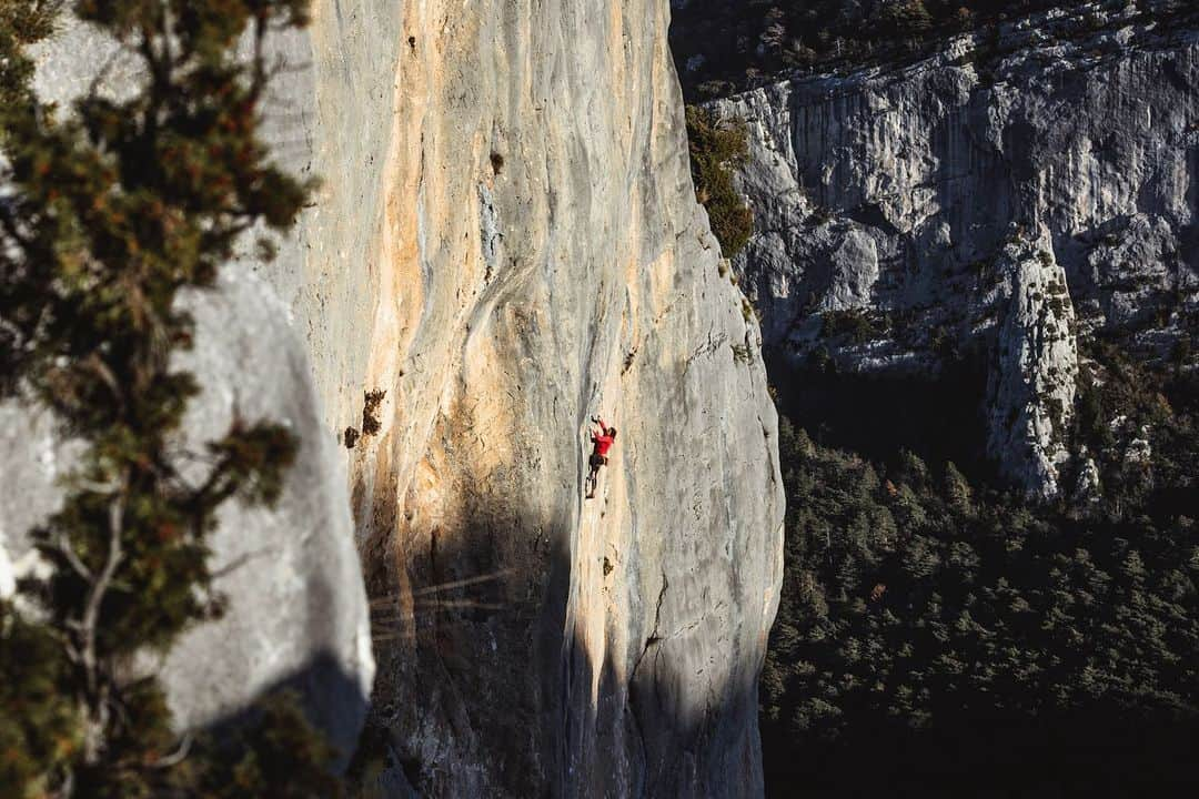 ニナ・カプレツさんのインスタグラム写真 - (ニナ・カプレツInstagram)「Good memories from my latest trip with @mathieumaynadier and @jeremy_bernard_photography to the Verdon. Mother Earth was simply gorgeous with its soft daylight, cold and clear nights and colourful leaves. I will never get tired of that!  📸 @jeremy_bernard_photography   #outerpeace #julboathlete #heyletsgo #scarpaclimb  @julbo_eyewear @arcteryx @hydroflask @scarpaspa @petzl_official @beyerbeans @arkose.climbing @cmc68.fr @gebana.official @iconoutdoor」12月9日 23時33分 - ninacaprez