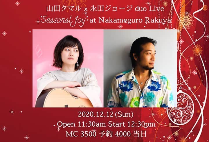 タマルのグルメインスタ