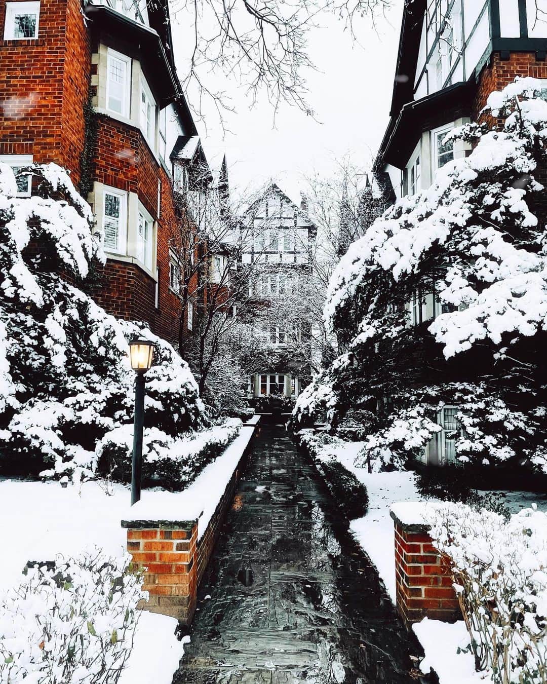 kaelのインスタグラム：「Another glorious snowfall ☃️🤍」