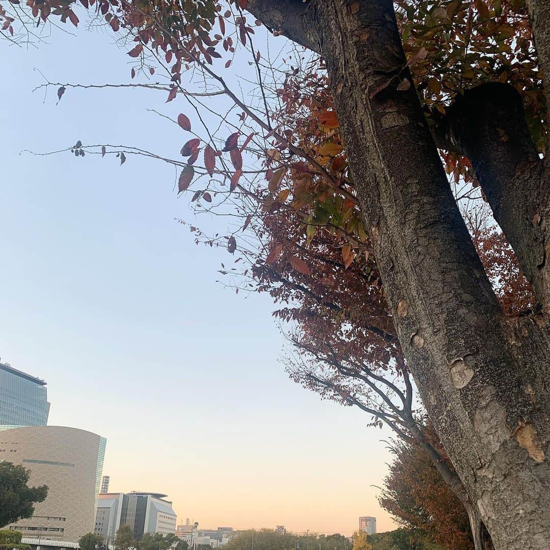 小林玲美さんのインスタグラム写真 - (小林玲美Instagram)「. そらのいろきれい」12月10日 1時01分 - _r_1124