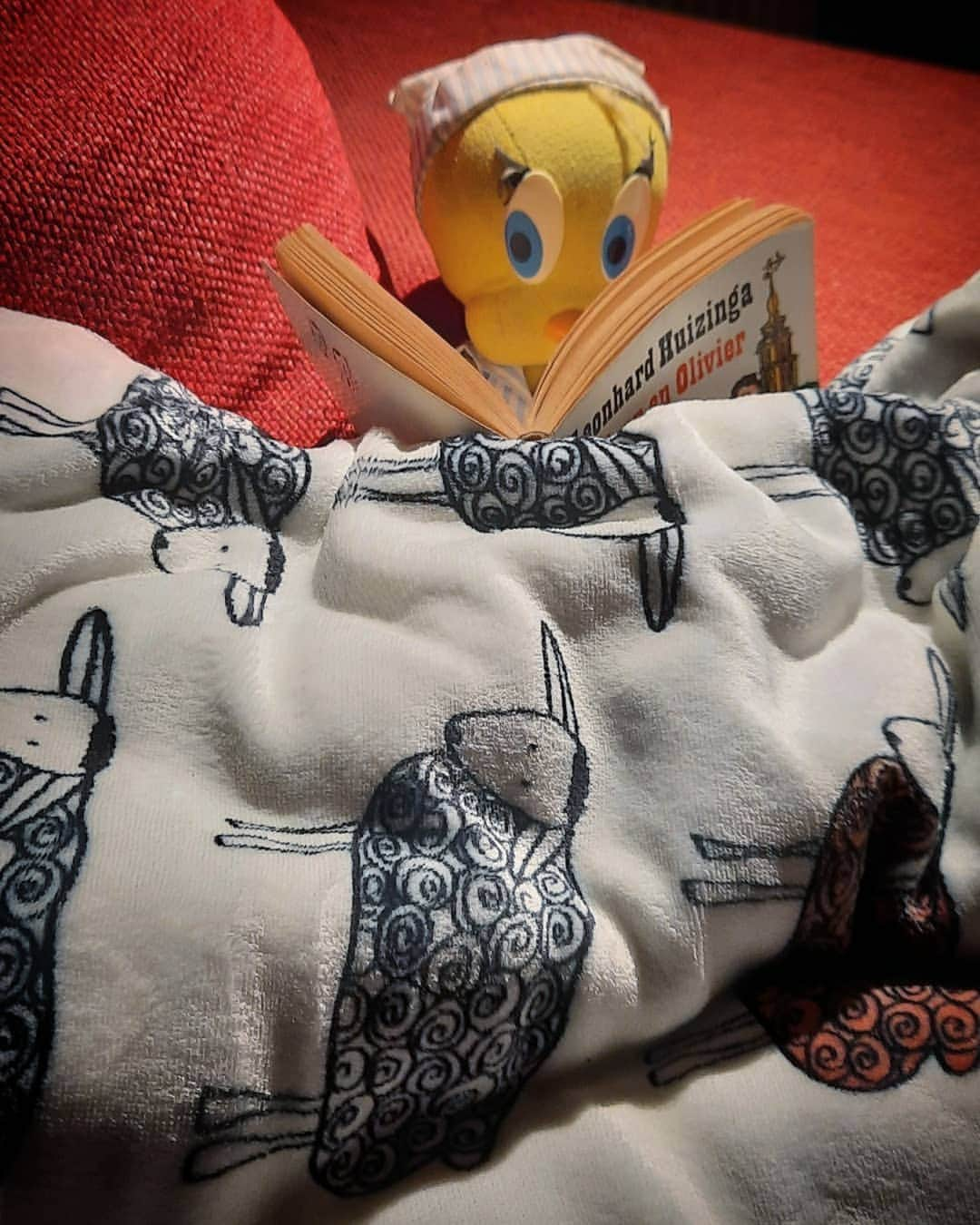 Little Yellow Birdさんのインスタグラム写真 - (Little Yellow BirdInstagram)「Quiet day at home. Couch. Blanket. Book. #littleyellowbird #tweety #tweetykweelapis #adventures #yellow #bird #wednesday #humpday #quiet #rustdagje #reading #blanket #book #reading #adriaanenolivier #resting #december #stuffedanimalsofinstagram #plushiesofinstagram」12月10日 1時03分 - tweetykweelapis