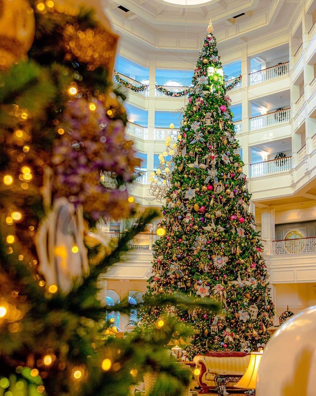 Walt Disney Worldのインスタグラム：「A tree-mendous sight 🎄😍 #DisneyResorts #WaltDisneyWorld (📷: @disneydailyphotos)」
