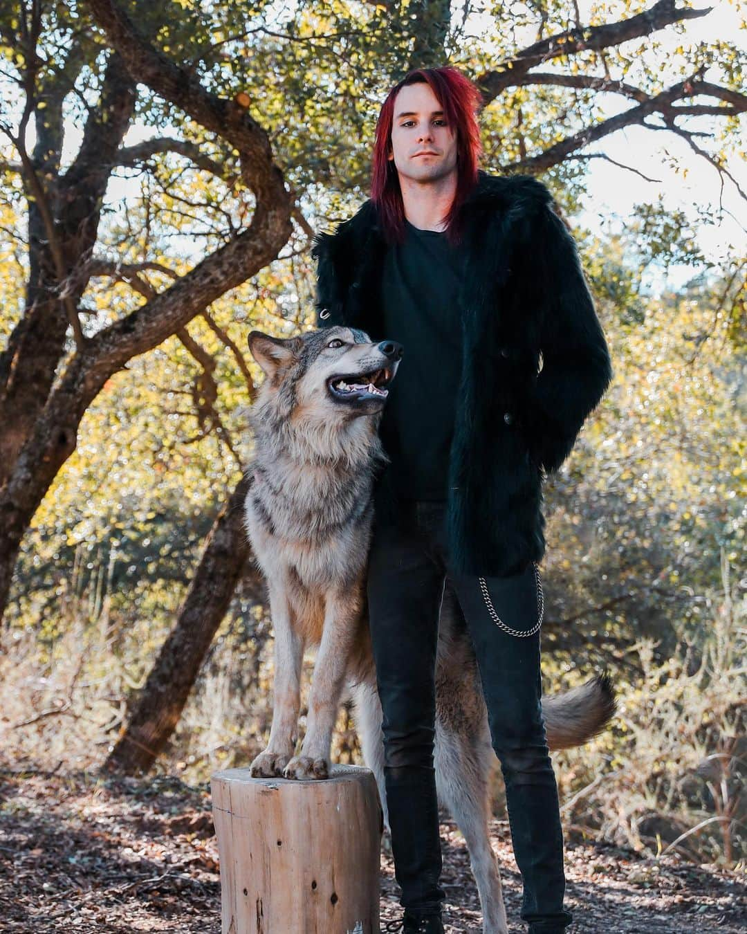 Rylaiさんのインスタグラム写真 - (RylaiInstagram)「Spirithood collaboration Photoshoot Teaser:  Featuring @life_with_mia_nina and Viktor @vette_rodd with Lucan  @anabeldflux with Viktor @life_with_mia_nina with Maksa . @spirithoods heard about our global fox rescue and our Fundraising Photoshoot and donated some of their amazing faux fur apparel to be used in the shoot!  There is absolutely no reason to have to murder countless souls to create a fur product just to show your neighbors your definition of “making it”. Not only are there ample products to keep you warm on a cold winter’s night, but amazing faux fur options from @spirithoods  . This weekend we raised over $4000 to help support our current fox rescue. We still need another $4600 to pay for the increased transportation costs of the rescue babies!  We need to save 6 more foxy babies!! The time is now to help save them!!  . Consider gifting an encounter with our amazing foxes or Sponsor a fox this holiday!! We also have our next mini session Photoshoots online for Jan 24th! Supporting us helps us provide the amazing support and care for our animals and enable us to rescue more in 21!!  . A special thanks to @anabeldflux for donating her amazing photography services this weekend and @life_with_mia_nina for hosting the fundraiser on Sunday and @spirithoods for donating the merch - more amazing photos to come! And of course @vette_rodd for being such a supportive model for us and being Lucan’s BFF!  . If you want to support the center: www.jabcecc.org . . 📸 by @anabeldflux  . #spirithoods #photoshoot #fundraiser #foxes #wolf #fox #wolves #dogs #wolvesofinstagram #foxesofinstagram #sandiego #socal #photography #photooftheday #collaboration #animalwelfare #furfree #volunteer #donate #giftideas」12月10日 1時53分 - jabcecc