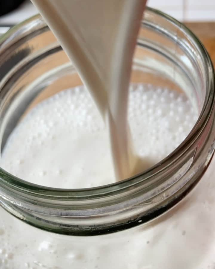 シャニン・ソサモンのインスタグラム：「almond milk 🎶」