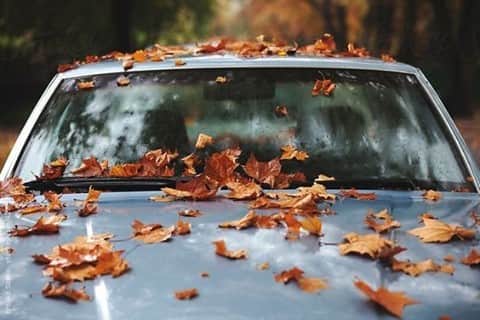 カレントエリオットのインスタグラム：「seasonal road-trip anyone? 😎  #inspo #travel #wanderlust #fall」