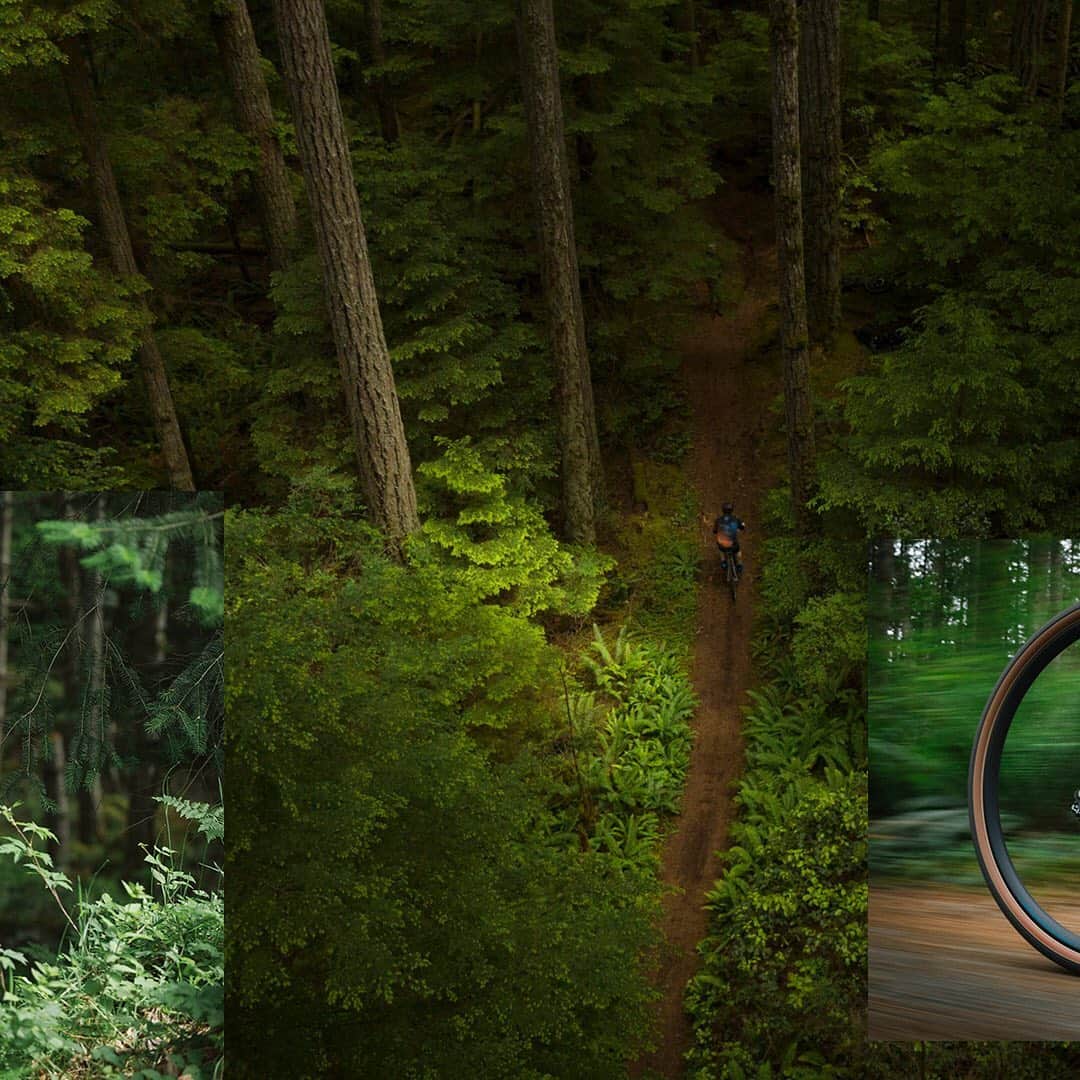 Shimanoさんのインスタグラム写真 - (ShimanoInstagram)「Gravel bikes evolved due to an insatiable demand for riders to explore. Not just a Trailforks route or a Strava segment, but capitalizing on the thousands of miles of dirt and gravel roads that exist in rural regions. The result is more bikes rolling through more of the landscape, unhindered by the need for constructed trails or an asphalt surface. Gravel follows the path less paved.  Click the link in our bio to watch "The Path Less Paved". #ShimanoGravel #ExploreBeyond #GRX 📸:@eyeroam」12月10日 5時03分 - rideshimano