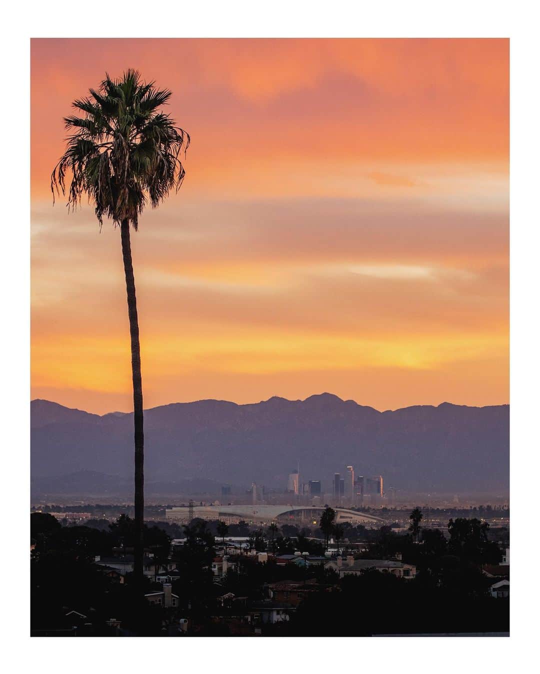 Pete Halvorsenのインスタグラム：「Good Day LA.  Woke up this morning, looked east for the sunrise, then west for the surf check...decided to head back down to the beach.   . 10 frames from Dec 09 2020.  .  1. SoFi + DTLA 2. All Signs Point to Swell 3. Good from far, far from good.  4. @hunterjoness going left, photographer going right 5. ✌🏼 Wag 6. @matt_pagan enjoying the high line 7. Top of the world. 8. Few Empty Barrels 9. @RickyLesser ready for a little swim @DaFinHi 10. “My Planet Needs Me” 🚀」
