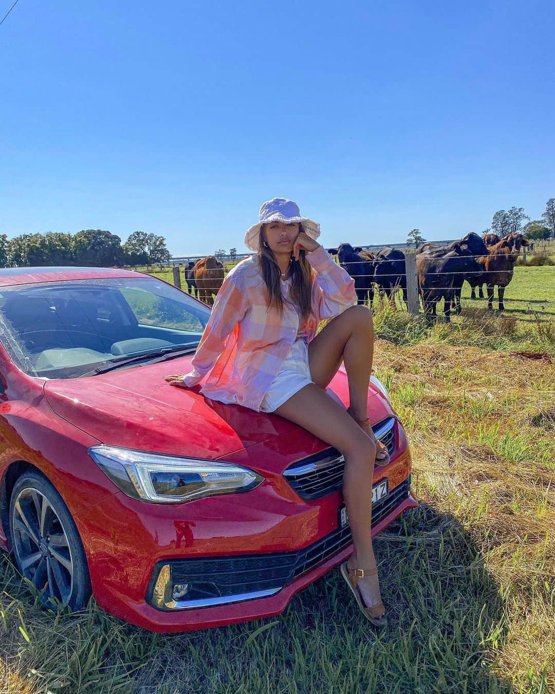 Hannah Pereraさんのインスタグラム写真 - (Hannah PereraInstagram)「Found these cuties whilst taking our #greataustraliandetour up to Byron in our @subaruaustralia , and couldn’t help but to say hello 🐄🐄🐄 #subaru」12月10日 16時31分 - hannah_perera