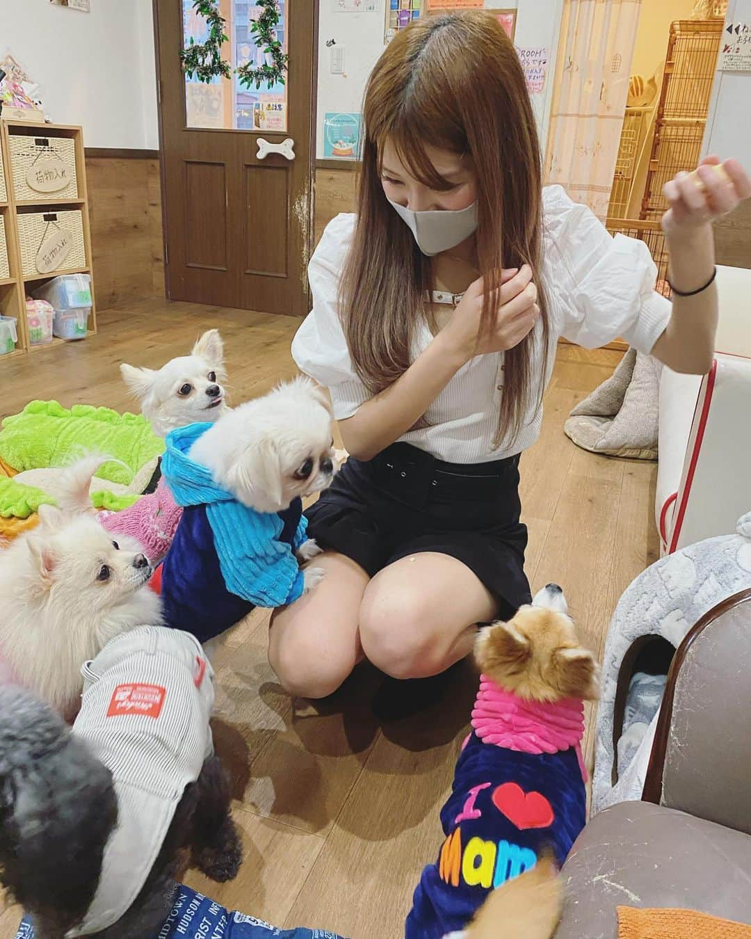 神崎紗衣さんのインスタグラム写真 - (神崎紗衣Instagram)「先日、保護犬保護猫カフェに行ってきました。  保護犬保護猫カフェとは 行き場を失ってしまって新しい家族を待ってる犬猫達と里親になりたい人を結ぶきっかけを提供してる場所です！  NPO法人や各ボランティア団体の方が全国いろんな場所で展開していまして、私は帰省した際に大阪府堺市の保護犬カフェに行ってきました！  今は引き取れないって方もドリンク1杯飲むことで支援になったり、わんちゃんねこちゃんとふれあえます。 カフェまで行けないけど支援したい方は、通販などでお店に届くよう犬猫用のオムツやフードを送ることだってできます🤱💓  わたしは正直アンチペットショップだったのですが ペットショップの全てが悪ではなく、最後まで愛情と責任もって育てることの方が大事だ ということを今回知りました、ごもっともですね🙇‍♂️  こんな場所が、こんな家族のなり方があるんだよってこと、もっともっと世間に広まればいいな！！  余談ですが、うちにいるポメラニアンのティーも保護犬出身なんですよ🍼  美人な猫ちゃんもたくさんいました🐈 4枚目の白いチェルちゃんは盲目だから臆病なのか最初は全然寄ってきてくれなかったけど 途中からめっちゃくっついてきて愛おしかった…！  これからも、わたしにできることをしていきたいです！  @hogoken_cafe.sakai  #保護猫#保護犬#保護犬を家族に#保護犬カフェ堺店#ボランティア#npo法人#わんこのいる生活#にゃんだふるらいふ」12月10日 16時33分 - kanzaki_sae