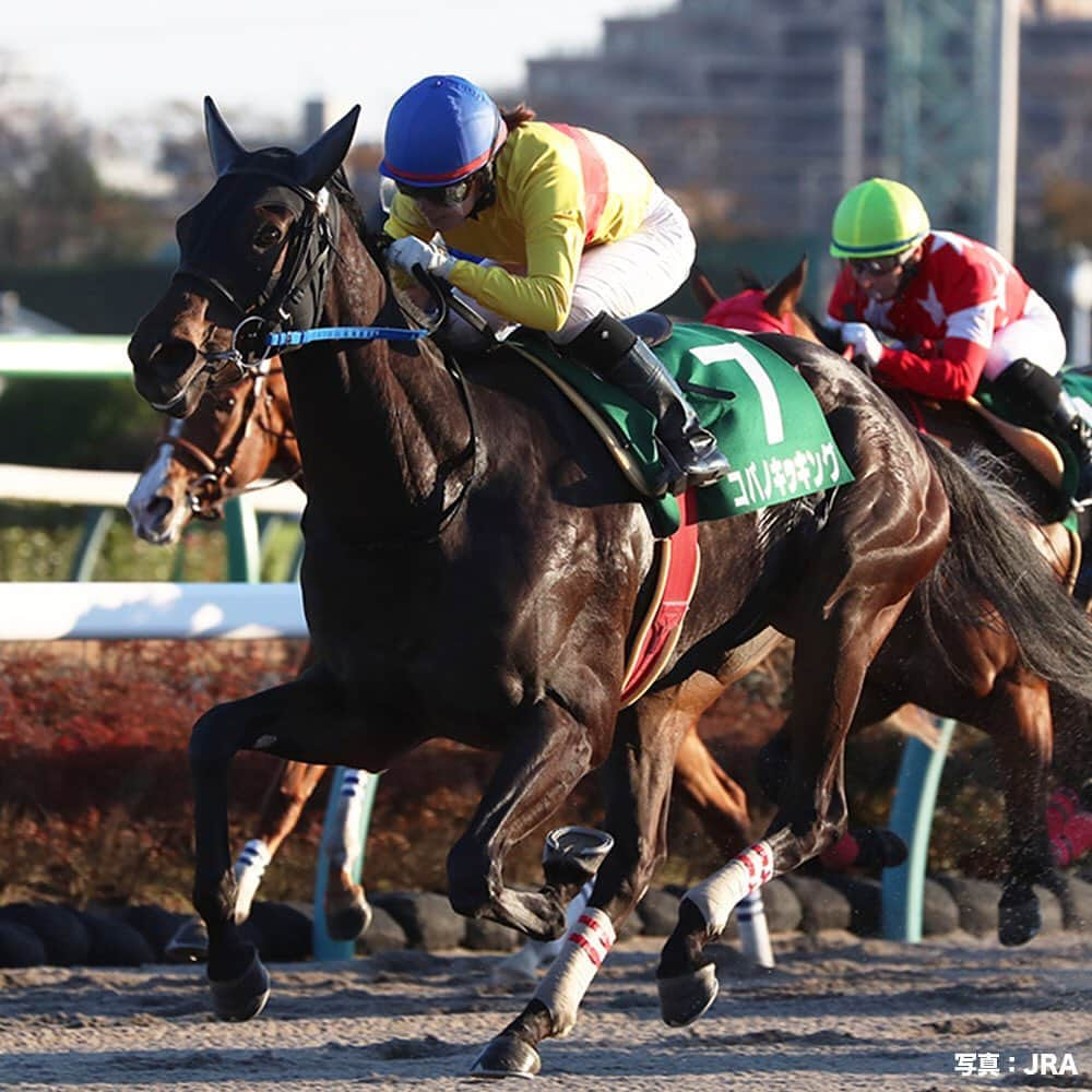 umabi_officialのインスタグラム：「今週末は、カペラステークス(GIII)  #ダートのスピード自慢が集結 #昨年の優勝馬は #コパノキッキング #鞍上の #藤田菜七子 騎手が #JRA女性騎手として #初のJRA重賞制覇 #まさに歴史が動いたレースだったよ #うまび #カペラステークス」