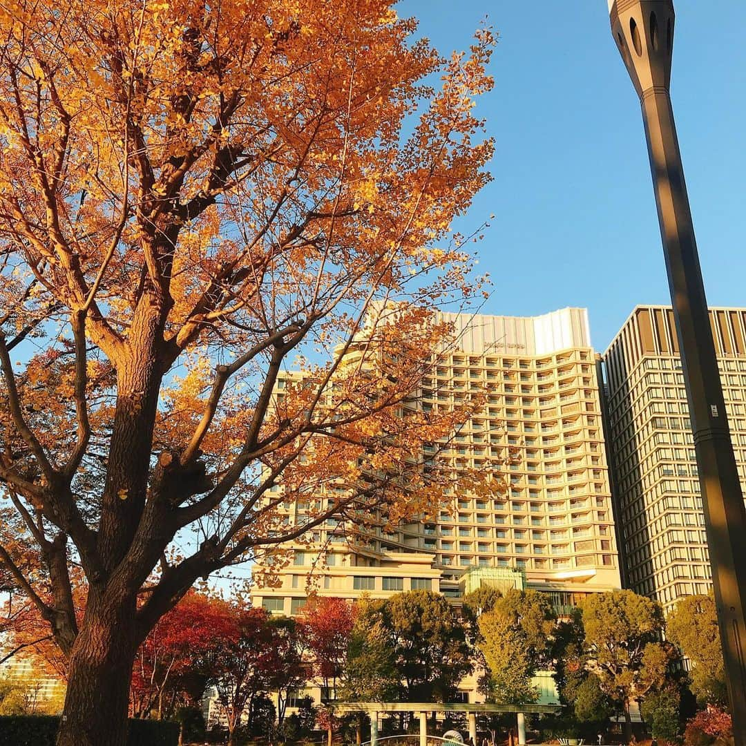 Palace Hotel Tokyo / パレスホテル東京のインスタグラム