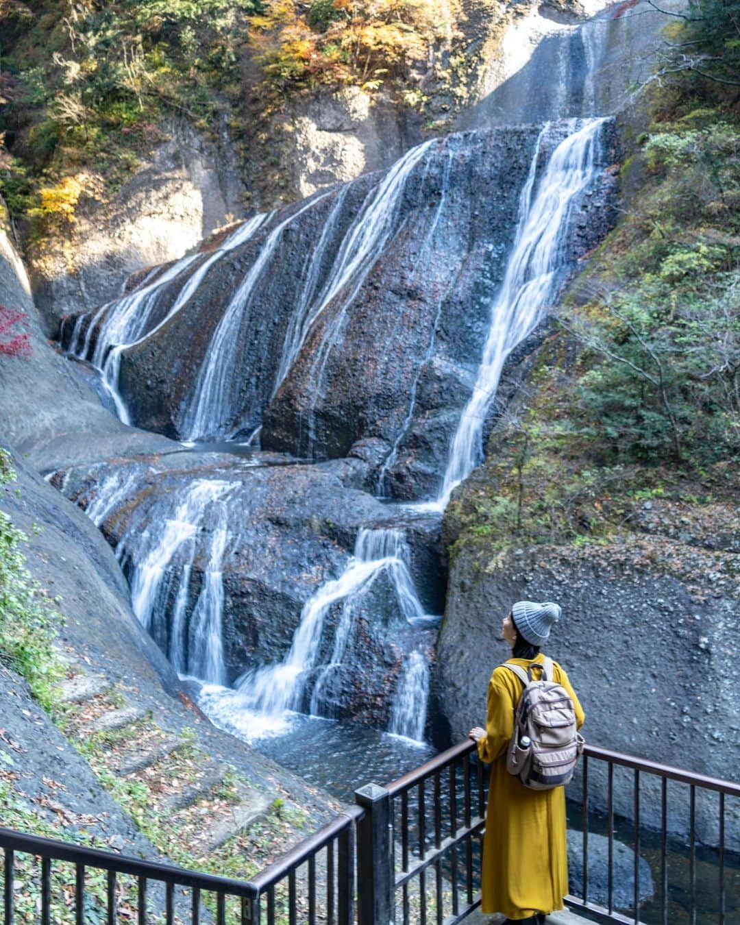 詩歩さんのインスタグラム写真 - (詩歩Instagram)「日本三大名瀑（滝）のひとつは、実は茨城県にあるんです！﻿ ﻿ 私にとっては2度目の訪問になる #袋田の滝 。﻿ ﻿ 茨城の県北エリアにあって、ほぼ福島や栃木の県境あたりにあるのですが、これが来てみてびっくり！﻿ ﻿ 高さ120m、幅73mもある本当に大迫力な滝なんです👏﻿ ﻿ 日本三大名瀑の中でも、栃木日光「華厳の滝」、和歌山熊野「那智の滝」はメジャーですが、袋田の滝は来たことがない人も多いのでは？私は3ヵ所とも行っているけど、袋田の滝は1番最後に訪れました…🤫﻿ ﻿ 紅葉の名所ということで、訪れたのは11月中旬🍁﻿ ﻿ 紅葉はまさにベストシーズン！…だったのですが、逆に雨が全然降らない週だったので水量が少なくカラカラな滝でした笑。私が前に訪れたときは展望台まで水しぶきが飛んできてカメラが濡れたほどだったんだけど…😂﻿ ﻿ まあ、雨が降ったら紅葉は落葉しちゃうので、自然というのは一筋縄では行かないからおもしろいというものです💪﻿ ﻿ そしてこれからの冬⛄﻿ ﻿ 袋田の滝は、厳冬期には実は全面が凍りつくんです！❄️﻿ ﻿ 凍りつき具合は茨城県のHPで更新されていくと思うので（今年は不明）、気になる方はぜひCHECKしてみてね〜﻿ ﻿ 🍁﻿ ﻿ One of the three greatest waterfalls in Japan is actually in Ibaraki!﻿ ﻿ This is my second visit to #Fukurotawaterfall.　It's in the northern area of Ibaraki, almost around the border of Fukushima and Tochigi, but this one surprised me when I got here!﻿ ﻿ It is a truly powerful waterfall with a height of 120 meters and a width of 73 meters 👏 Among the three major waterfalls in Japan, Kegon Falls in Nikko, Tochigi and Nachi Falls in Kumano, Wakayama are major, but there are probably many people who have never visited Fukuda Falls. I've been to all three places, but Fukuda Falls was the last one I visited...﻿ ﻿ I visited in mid-November, as it is a famous place for fall foliage. Fall foliage is just the best season! ...but on the contrary, it was a week when it didn't rain at all, so the water volume was low and the waterfall was dry. The last time I was there, the water splashed up to the observation deck and my camera got wet 😂 Well, if it rains, the leaves will fall off, so nature is interesting because it's not a simple thing to do 💪.﻿ ﻿ And the coming winter ⛄Fukuroda waterfall actually freezes over the entire surface in the harsh winter season!The freeze will be updated on the Ibaraki Prefecture's website (not sure for this year), so if you're interested, be sure to check it out!﻿ ﻿ 🍁﻿ ﻿ 茨城県さんのお仕事で「 #Zekkeiいばらき ツアー」を監修＆同行してきました！今年で５年目になるお仕事。ツアーの様子も撮影してもらったので、Youtubeでの公開をおたのしみに！﻿ ﻿ ツアーに参加してくれた皆さんのpostもぜひ見てね♡﻿ @ooooooayumioooooo﻿ @niaokada﻿ @tg_mari729﻿ ﻿ ﻿ 📷 Nov 2020 ﻿ 📍袋田の滝／茨城県 ﻿ 📍Fukurofa waterfalls／Ibaraki Japan﻿ #shiho_ibaraki ﻿ ﻿ ﻿ ﻿ ﻿ ©Shiho/詩歩﻿」12月10日 15時57分 - shiho_zekkei