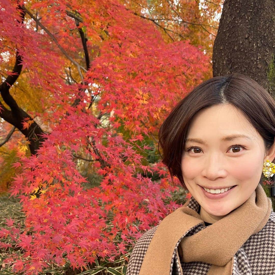 山本愛子のインスタグラム：「紅葉見に行こうよう🍁  てなわけで今年は近場で💦 本当は京都とかねー行きたいけどねー😭💦  でもちょうど見頃で十分楽しめました😊✨観光地じゃないから人もほとんどいなかったし♫✨  真っ赤もいいけど、緑黄色オレンジ赤のグラデーションも綺麗でした…😍😍💕  #紅葉 #japan #とりあえずポートレートにしとけばいいと思ってる」