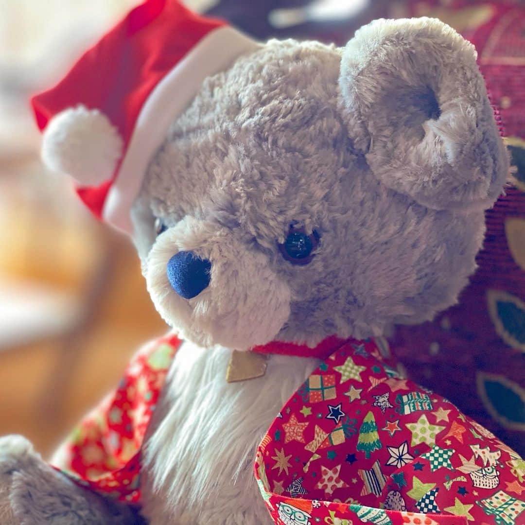 祥吉さんのインスタグラム写真 - (祥吉Instagram)「可愛いサンタさん  ハロウィンに引き続き 祥吉スタッフが半被と帽子を作ってきてくれました やるせない気持ちがいっぱいの毎日ですが 少しでも微笑んでいただけたら嬉しいです  今日も優しい一日を…  #クリスマス #クリスマス仕様 #ハンドメイド #裁縫 #テディベア #くまのぬいぐるみ  #チェア #ミニチェア #BC工房」12月10日 8時33分 - akoshokichi