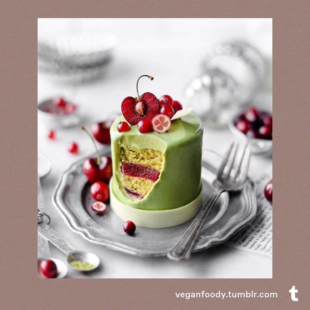 Tumblrさんのインスタグラム写真 - (TumblrInstagram)「5 Vegan Holiday Recipes to try now >>> #veganrecipes」12月10日 8時43分 - tumblr