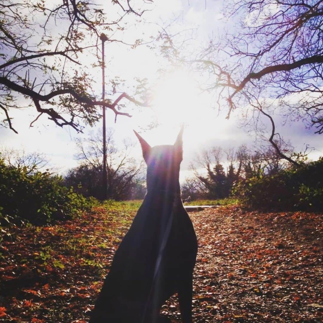 布袋寅泰さんのインスタグラム写真 - (布袋寅泰Instagram)「いつかの今日。#ぬくもり」12月10日 8時46分 - hotei_official