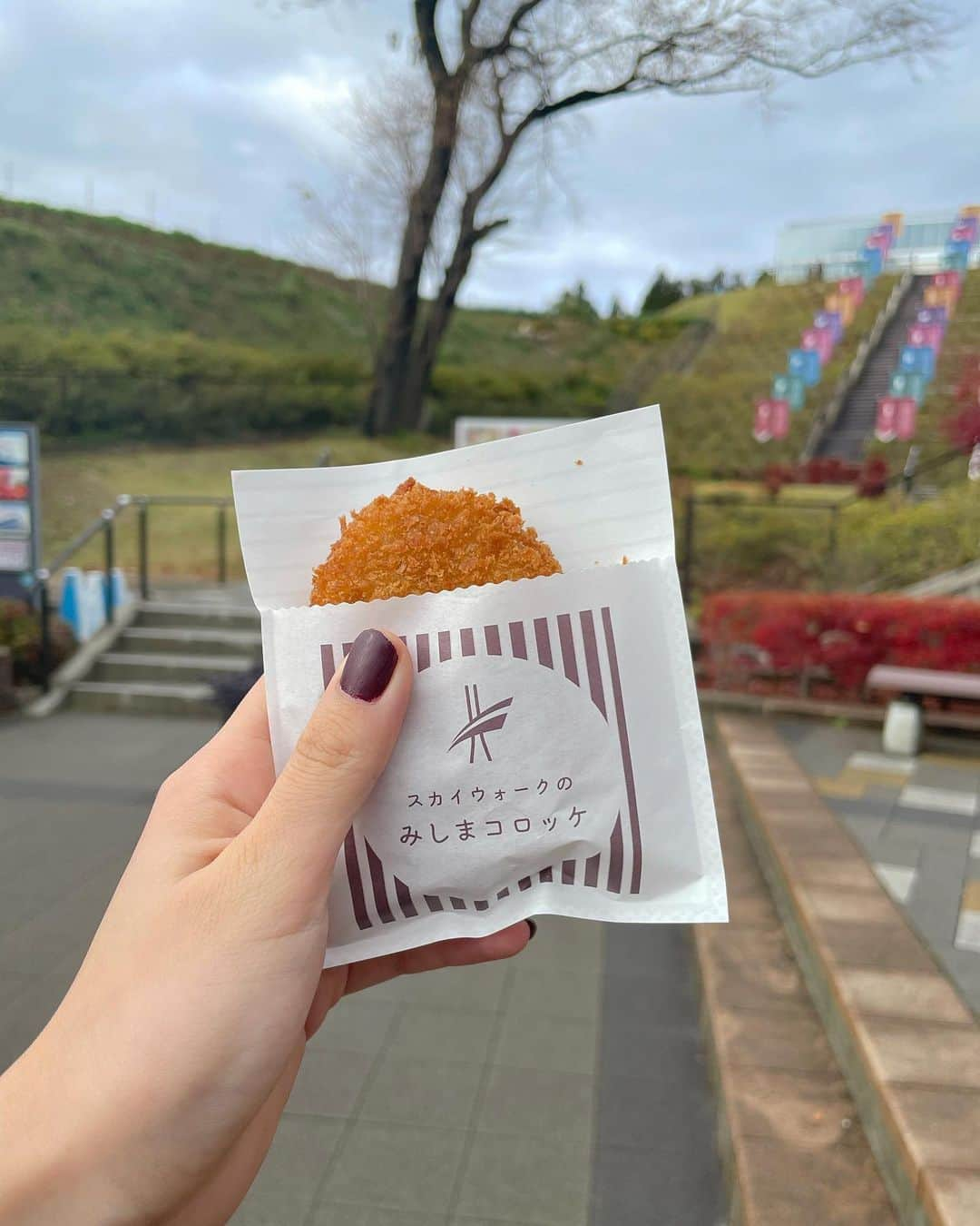 なかねかなさんのインスタグラム写真 - (なかねかなInstagram)「よく食べWeek  まじでばかうまだったケーキ(本気。まじ。ガチ。真面目に。)  大室山のお団子とお茶。これまた激うま(まじで。ガチで。真面目に。本気で。)  猪まん  三島コロッケ。ドラマで見た時から食べたいと思っていた三島コロッケようやく。  鮎の塩焼き。だぁうま。  タイしゃぶ」12月10日 9時13分 - nknknk1206