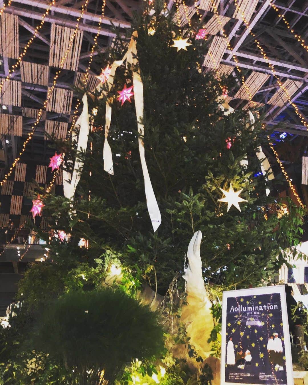 本田朋子さんのインスタグラム写真 - (本田朋子Instagram)「昨夜はアルビBBのホームゲーム。 アオーレ長岡に大きなクリスマスツリーが。 息子と写真を撮っていたら…びっくりしたー笑（3枚目） アルードくん、いつもありがとう！  #bリーグ #バスケ観戦 #新潟アルビレックスbb」12月10日 9時18分 - tomoko_honda_official_phonics