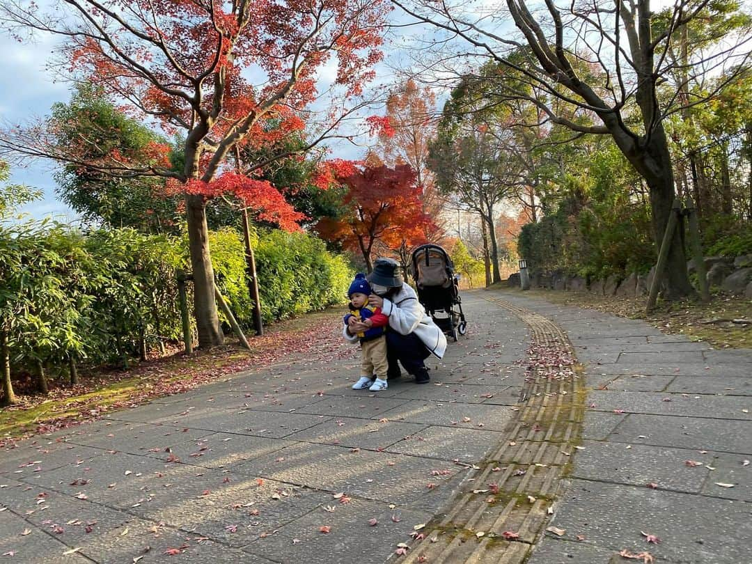 高城亜樹さんのインスタグラム写真 - (高城亜樹Instagram)「▽ 歩けるようになってから 公園行くのが楽しいねぇー❤️ . 紅葉が綺麗でした🍁 . #紅葉 #🍁 #お散歩 #男の子ママ #1歳1ヶ月」12月10日 9時44分 - akiii_takajo