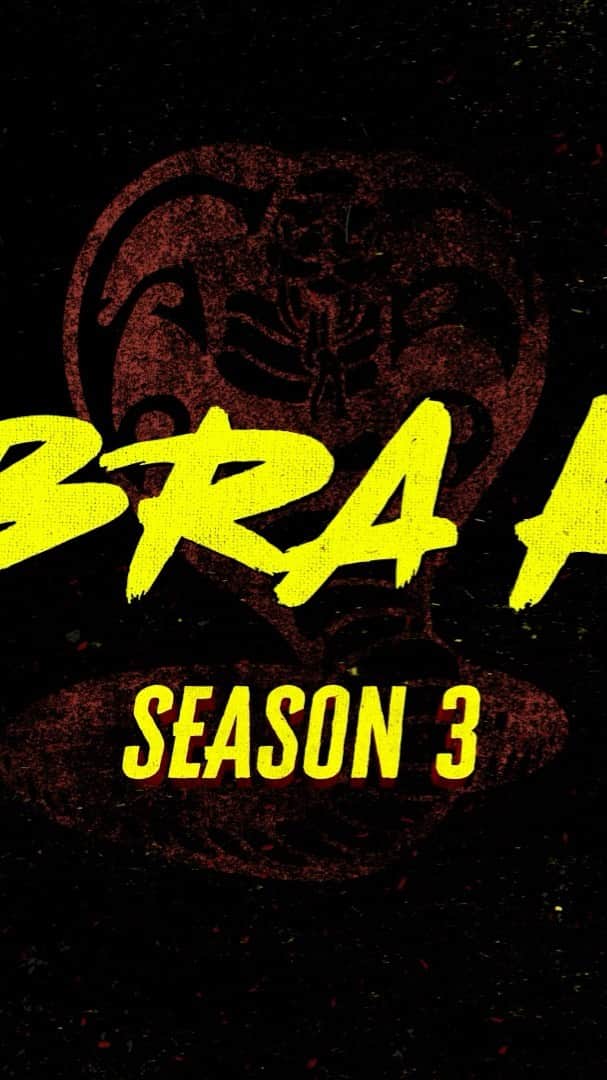 ペイトン・リストのインスタグラム：「@cobrakaiseries @netflix」