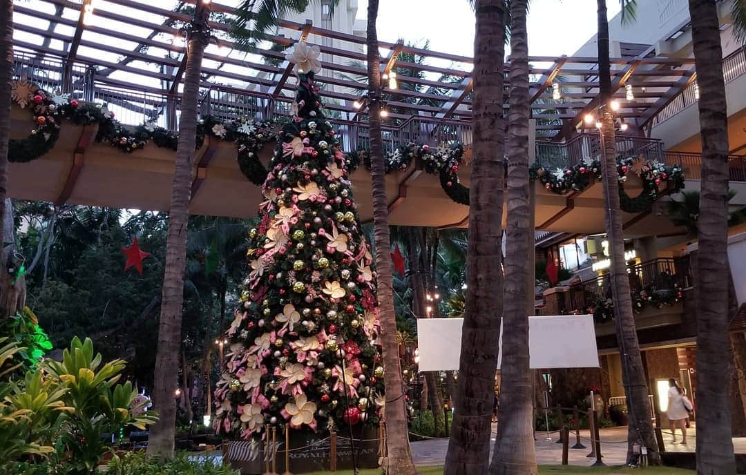 瀬川慶さんのインスタグラム写真 - (瀬川慶Instagram)「Check it out on YouTube!Annual Tree lighting @royalhawaiiancenter クリスマスツリー点灯式、動画で見てね!  #hawaii #aloha #Waikiki  #royalhawaiiancenter  #kalakauaavenue  #covid19hawaii #holidaykickoff #youtube #maluproduction　#ハワイ　#アロハ　#ワイキキ　#ロイヤルハワイアンセンター　#バーチャル配信　#クリスマスツリー点灯式　#アロハスタイル　#ハワイからユーチューブ　　#瀬川慶　#観光再開　#チャンネル登録お願いします」12月10日 10時29分 - kei.segawa