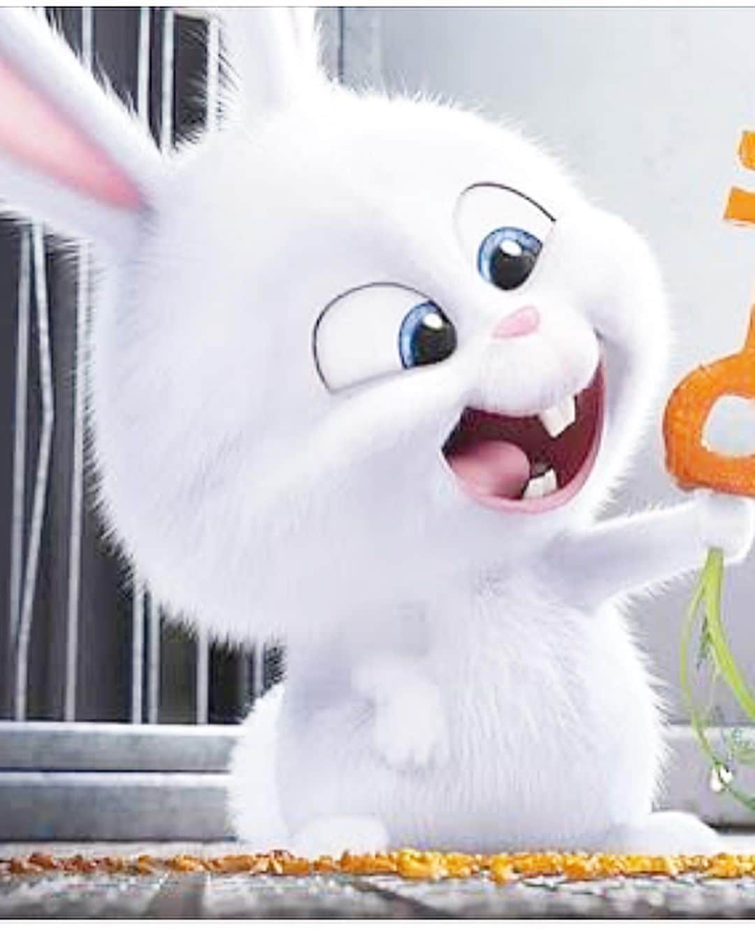 みきママさんのインスタグラム写真 みきママinstagram 凶悪うさぎスノーボール弁当です 杏ちゃん ペット2 のうさぎにして ってさ ペット1にも出てた嫌なうさぎね おかずは 昨日 おつまみをたくさん作ったから 杏ちゃんの苦手なレバーを入れてやり