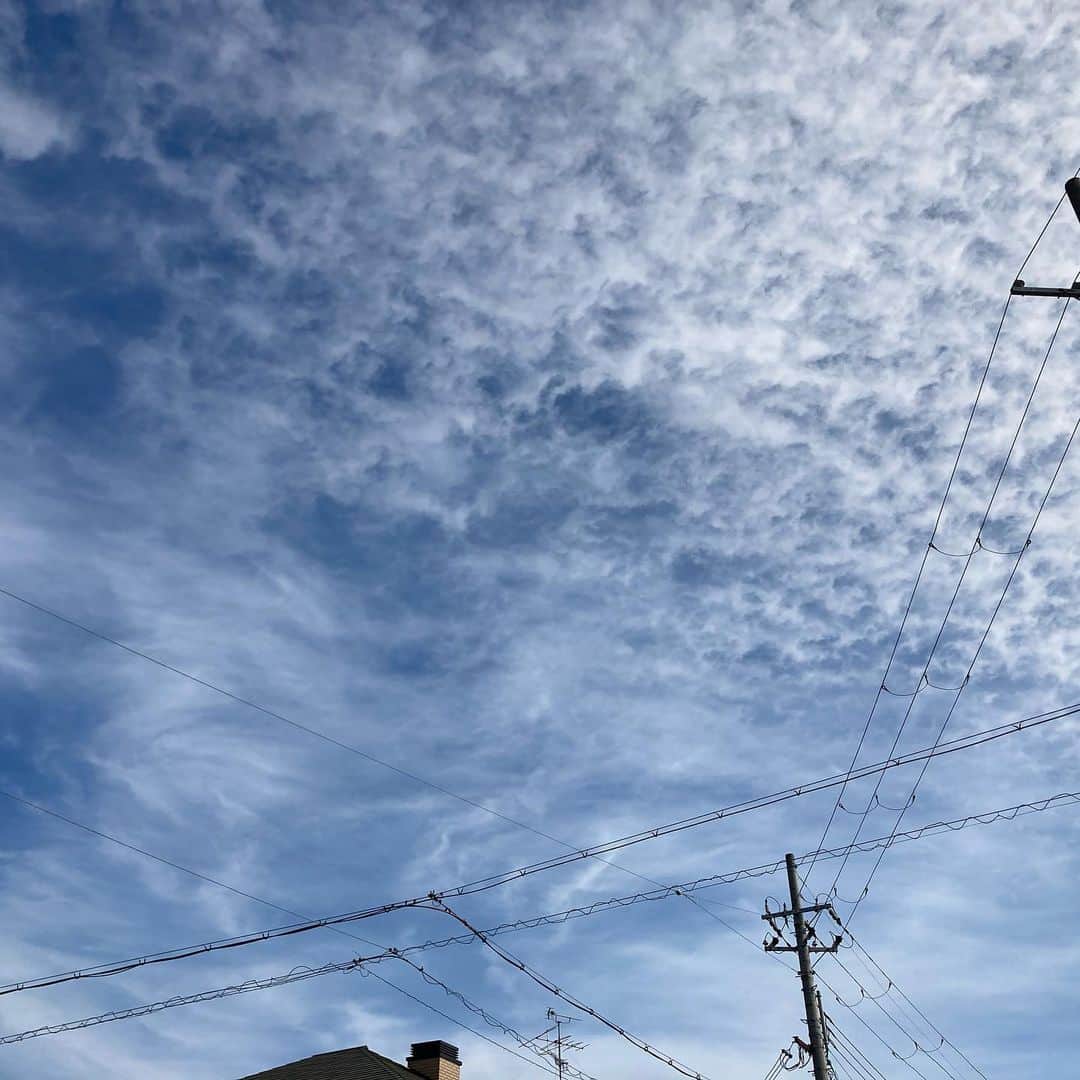 牧野誠三さんのインスタグラム写真 - (牧野誠三Instagram)「今日の空、雲は高い。 スッキリした雲ですね。#ytvアナウンサー  #ytv  #牧野誠三　#sky」12月10日 10時53分 - makino_seizo_freeter