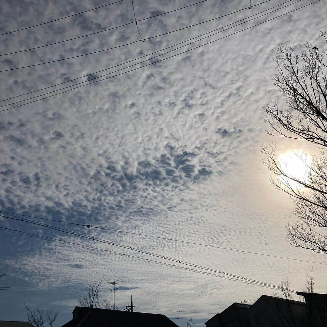 牧野誠三のインスタグラム：「今日の空、雲は高い。 スッキリした雲ですね。#ytvアナウンサー  #ytv  #牧野誠三　#sky」