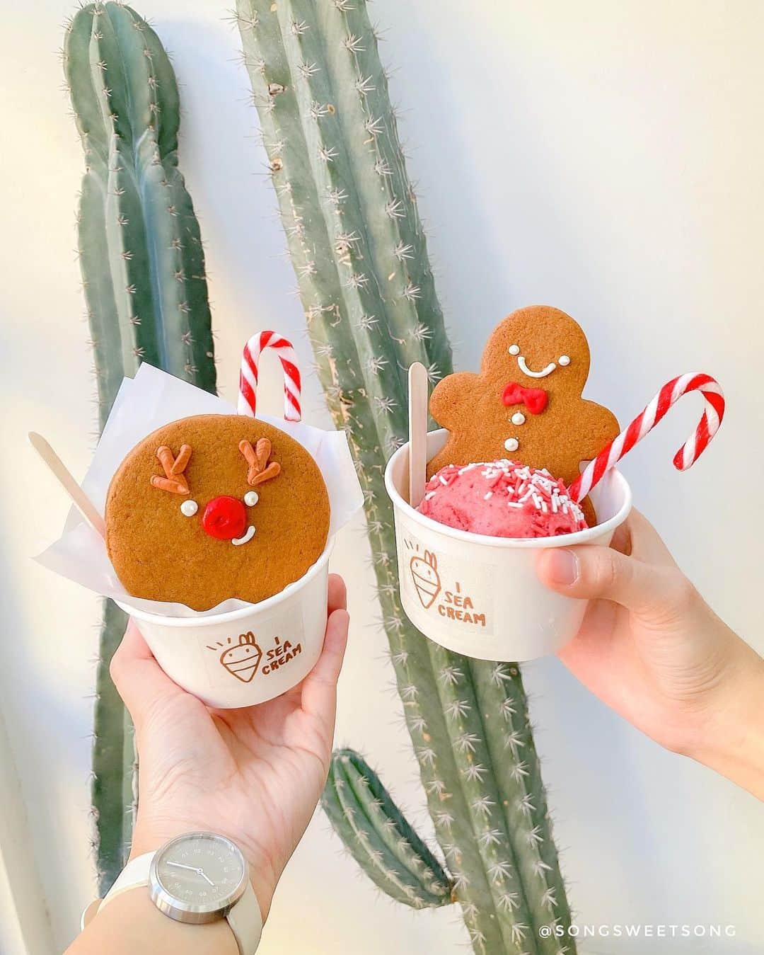 Song Sweet Songのインスタグラム：「Merry Christmas 🎄🦌🎅メリクリ✨ วันนี้เป็นอีกหนึ่งวันที่อากาศดีมากๆ เข้ากับเทศกาลคริสมาสสุดๆไปเลย ทะเลบางแสนช่วงนี้ อากาศก็ชิวมากๆ ช่วงวันหยุดยาวนี้ถ้าใครมาเที่ยวชลบุรีก็แวะมาร้านเรา @iseacream_cafe ได้นะค้าา ~ ยินดีต้อนรับค้าบ😀💕  @mavenjapan さんから 素敵な時計をいただきました＊  ❤︎クーポンコード 【songsky95】 を入力で10%OFFになるので、 よかったら作ってください。 (本日より1年間有効)  ＃マベン #マベンウォッチズ#時計 #腕時計 #mavenwatches #クリスマス #ギフト  #cafehoppingchonburi #cafeteller  #cafehopping #cafehoppingbkk #cafechonburi #chonburicafe #adayinchonburi  #thailandtravel #adayinthailand #カフェ #맛집 #맛스타그램 #냠스타그램 #태국 #태국카페 #インスタ映え #icecreamlover #クッキー #iseacream_cafe」
